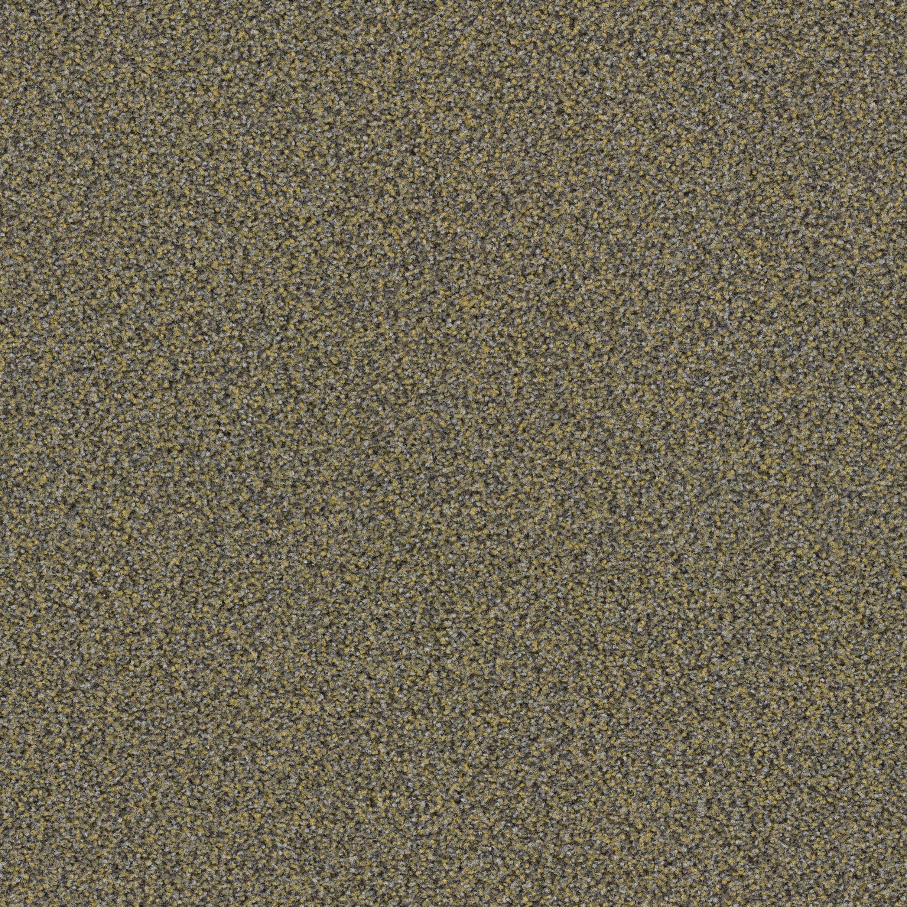 Factum 6620 Spring