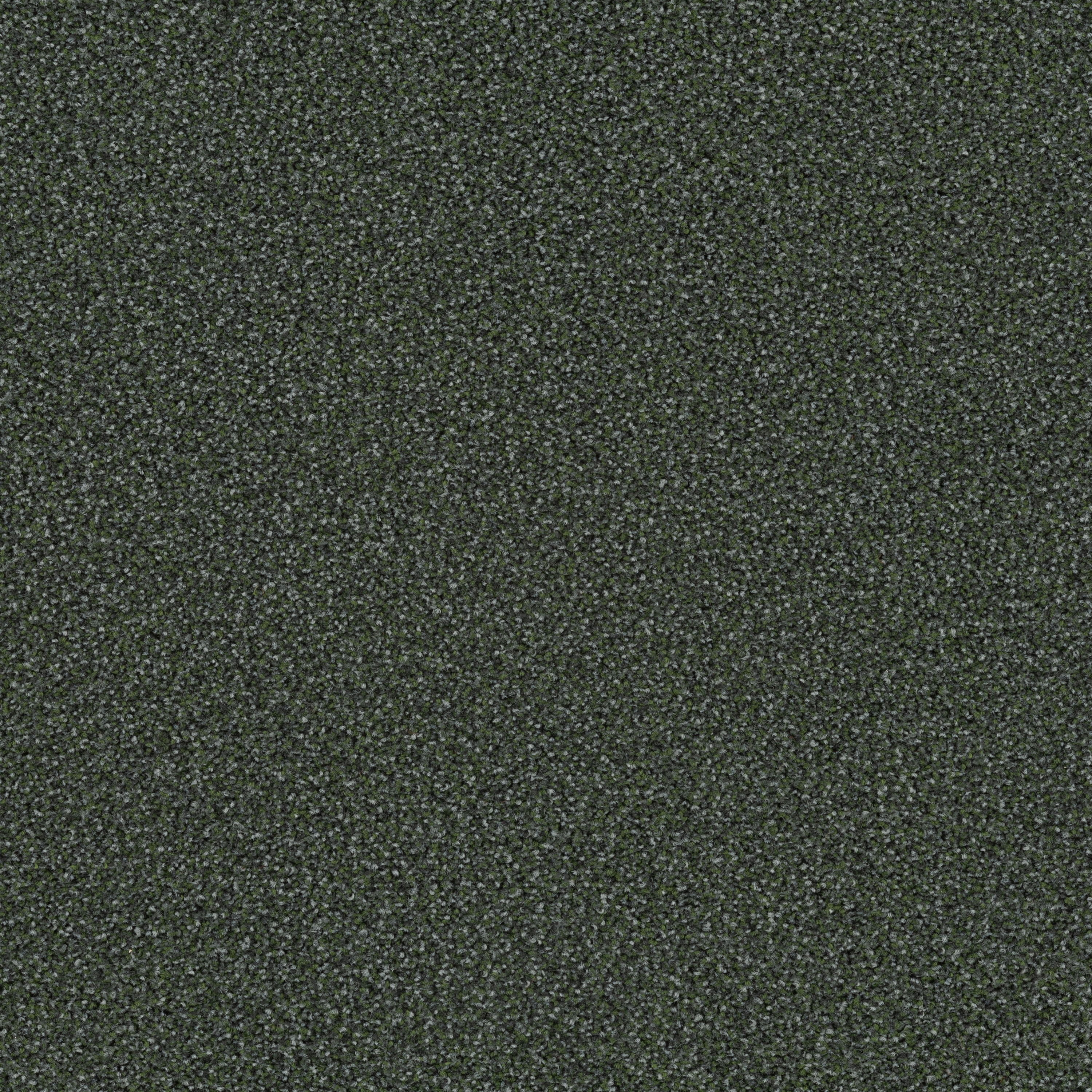 Factum 6623 Summer Field