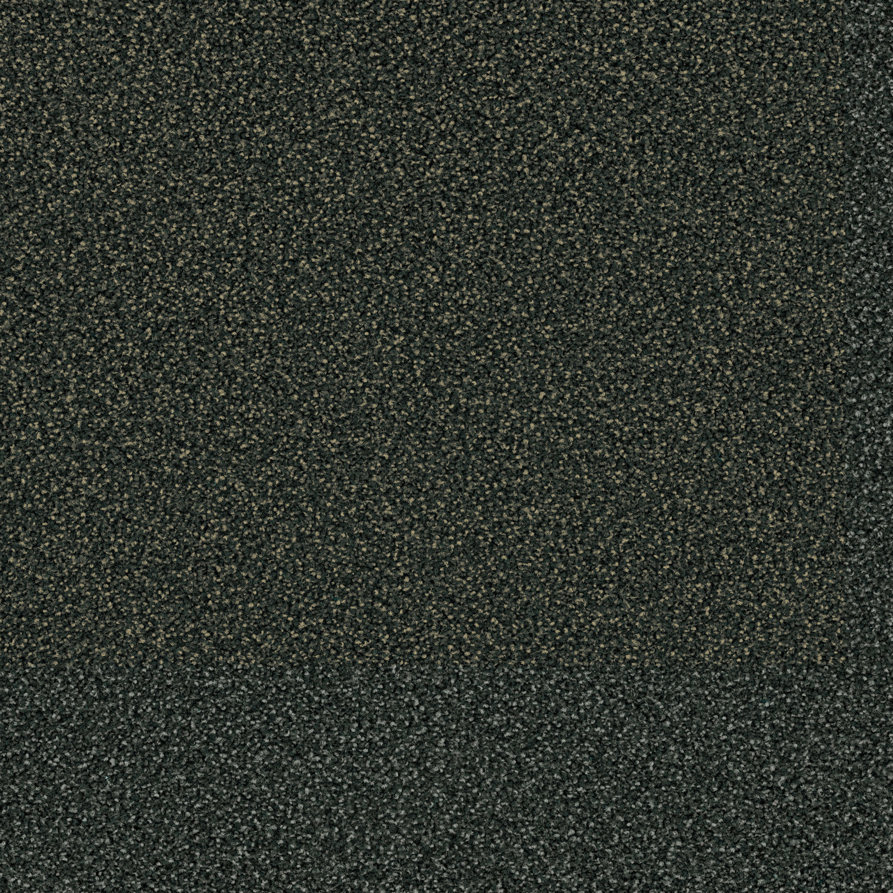 Factum 6625 Ash