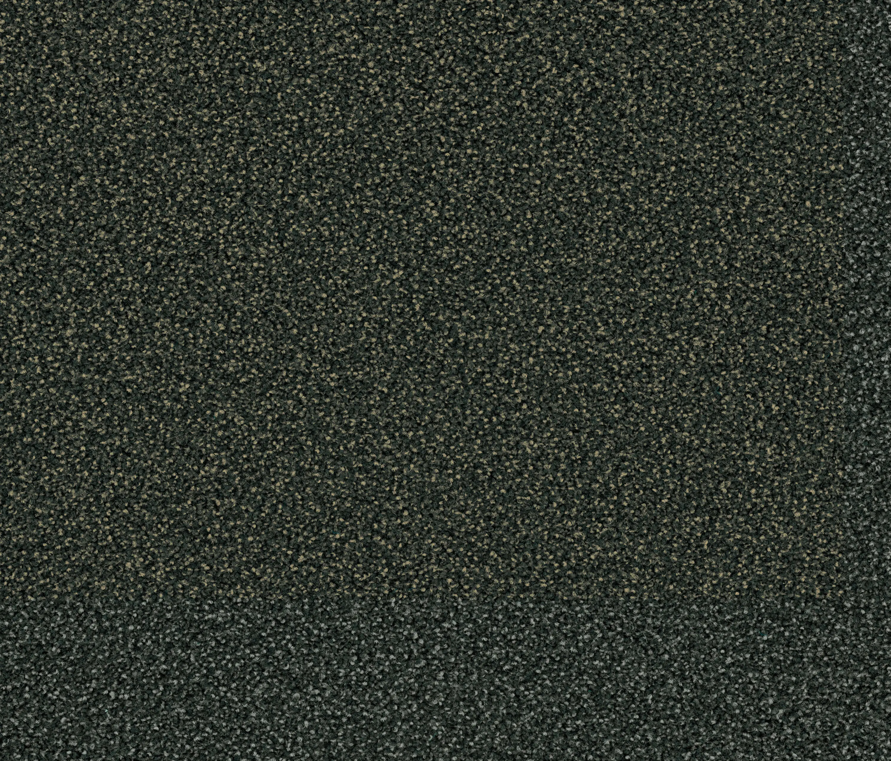 OBJECT CARPET - Factum 6625 Ash