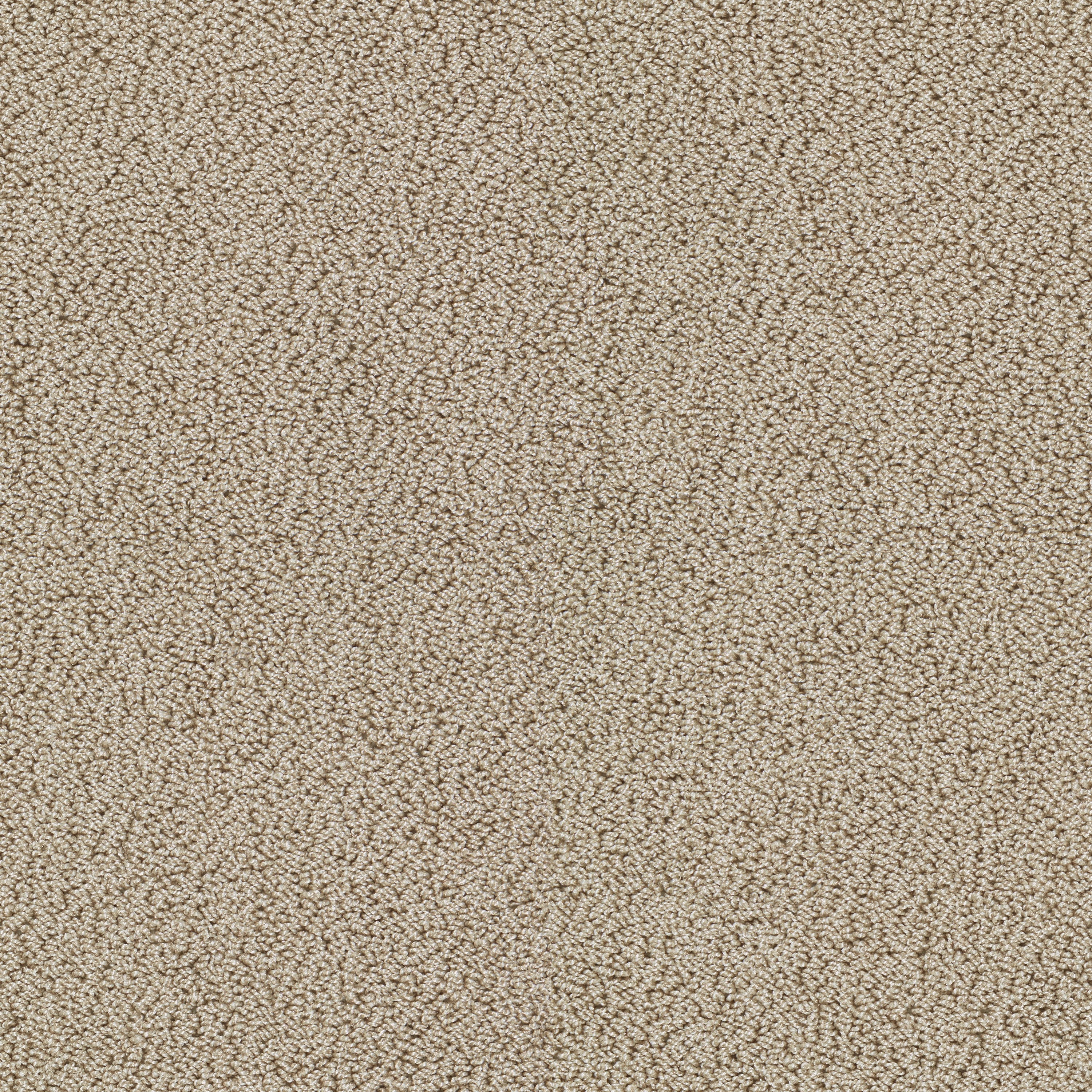 Gloss 7902 Beach