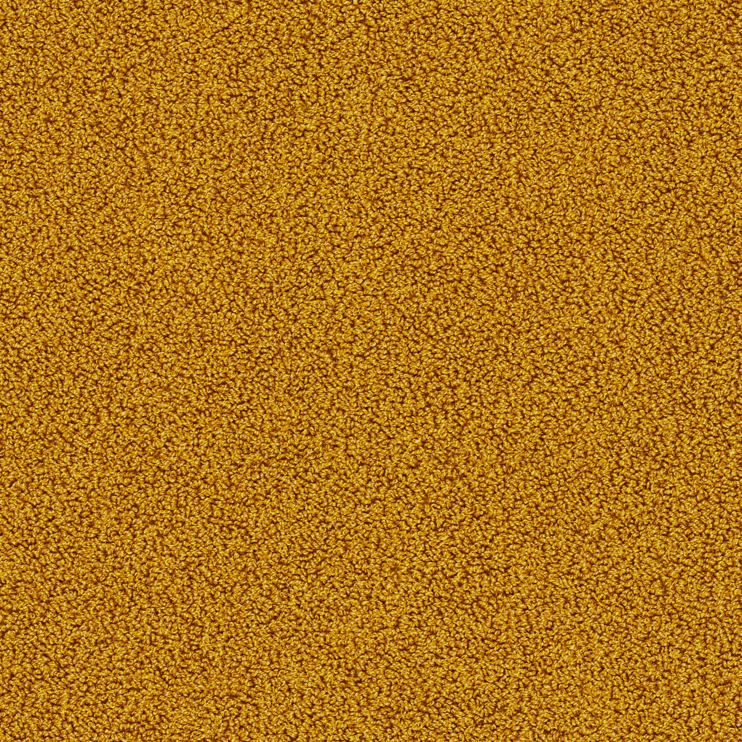 Gloss 7905 Senf
