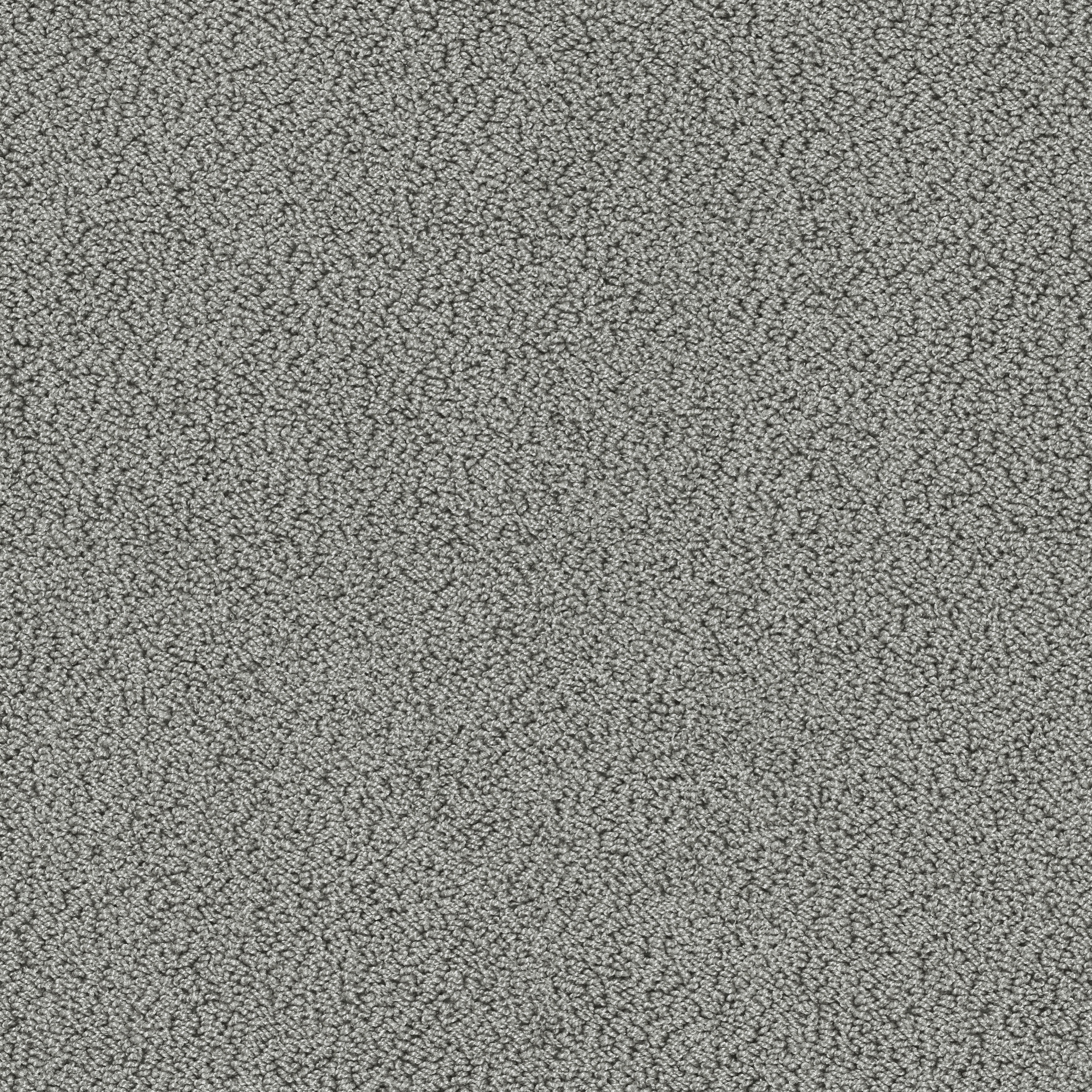 Gloss 7910 Elefant