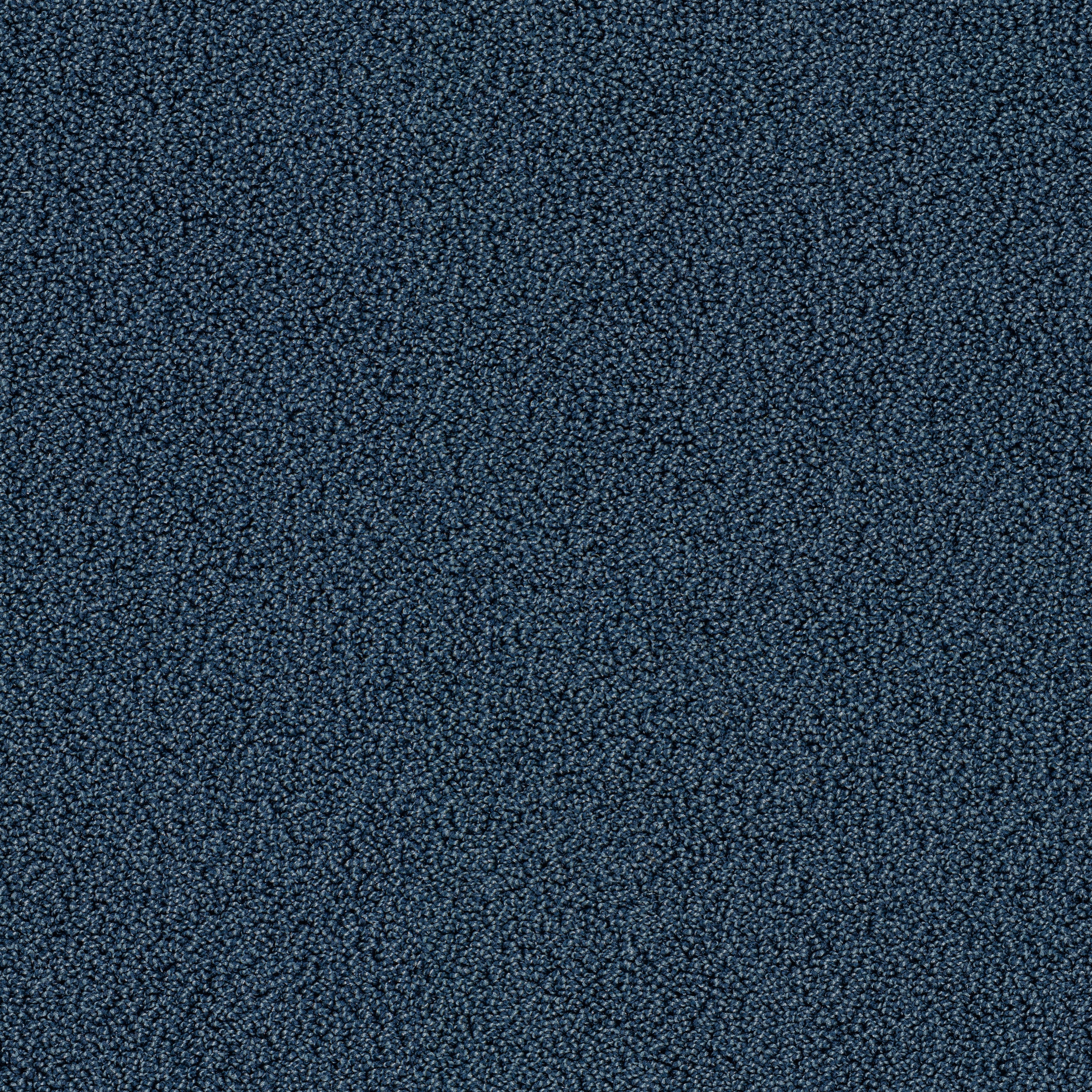 Gloss 7916 Blue Jay