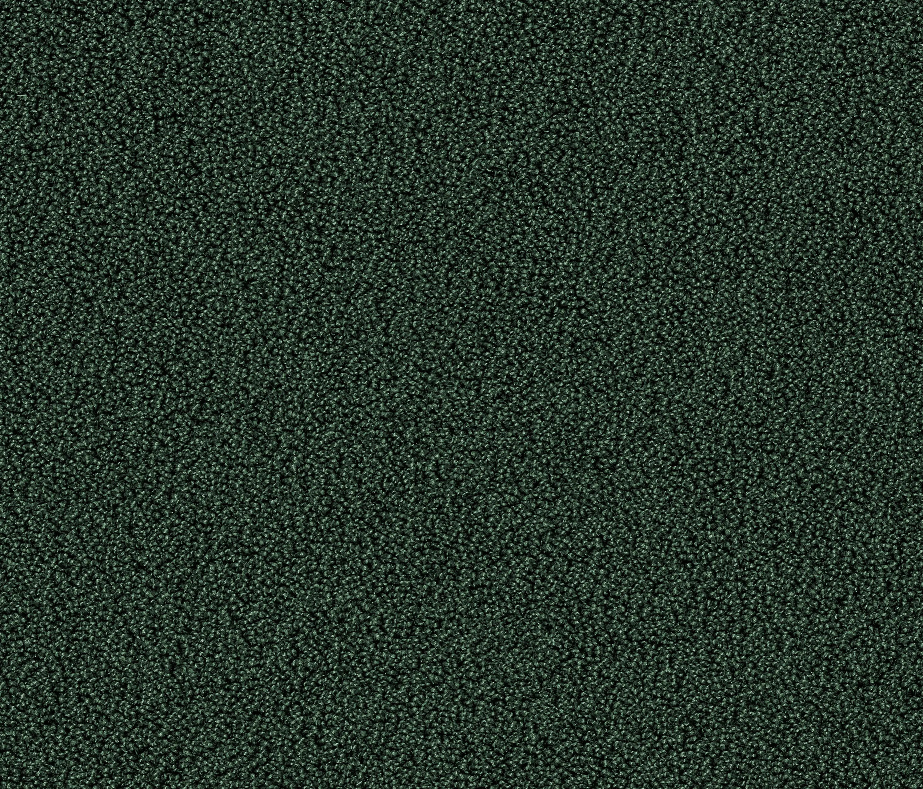 OBJECT CARPET - Gloss 7919 Liane