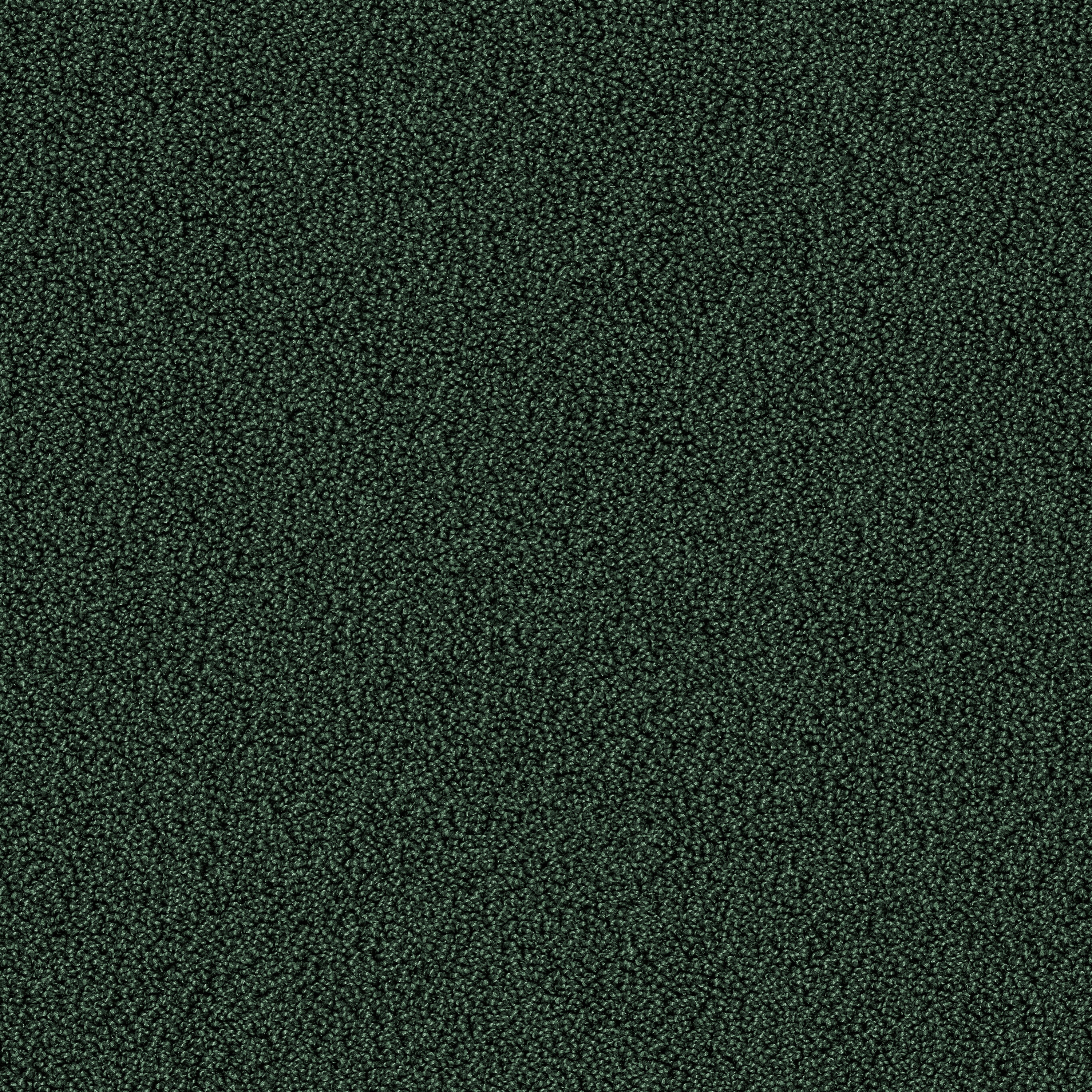Gloss 7919 Liane