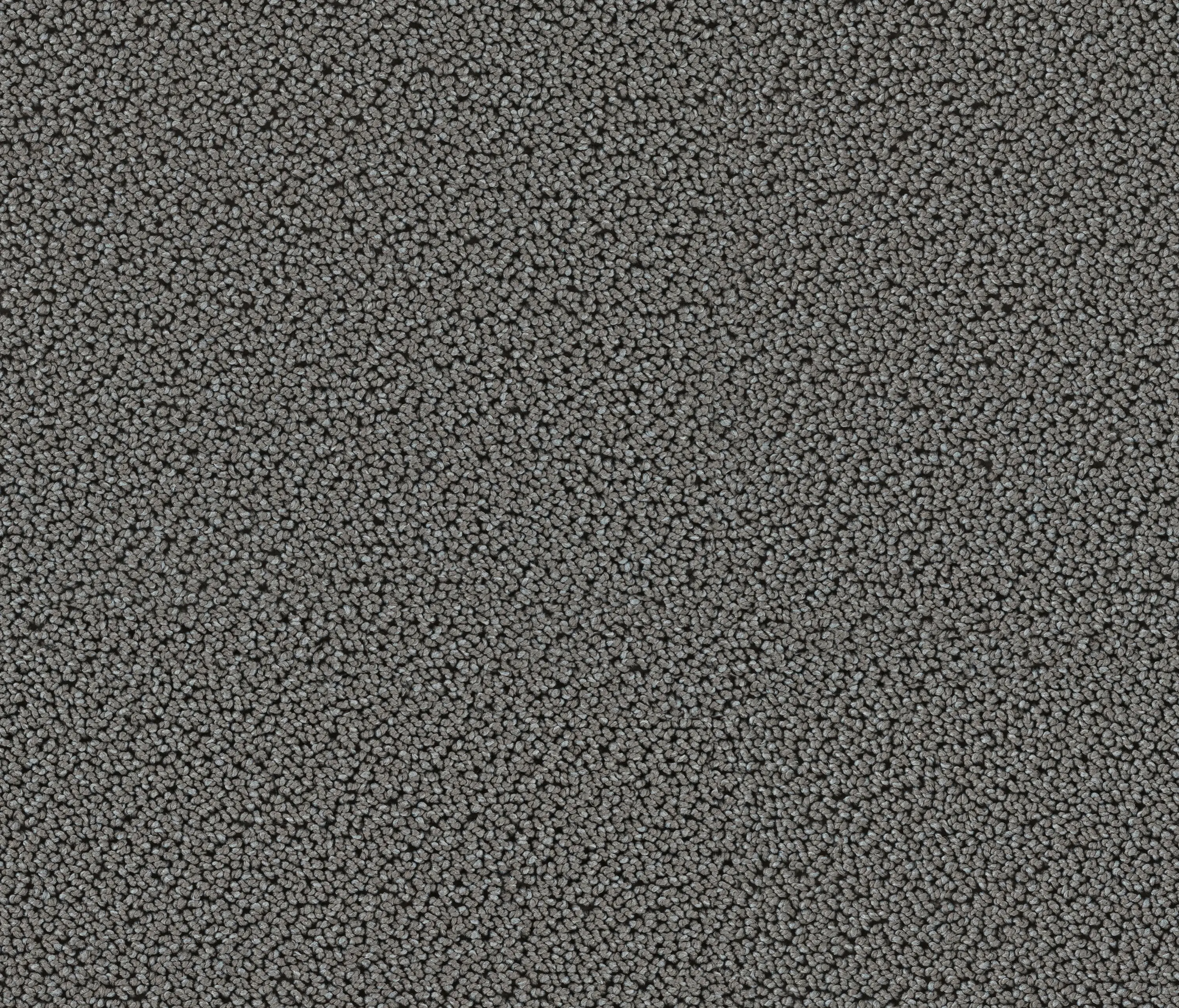 OBJECT CARPET - Highloop 7701 Elefant