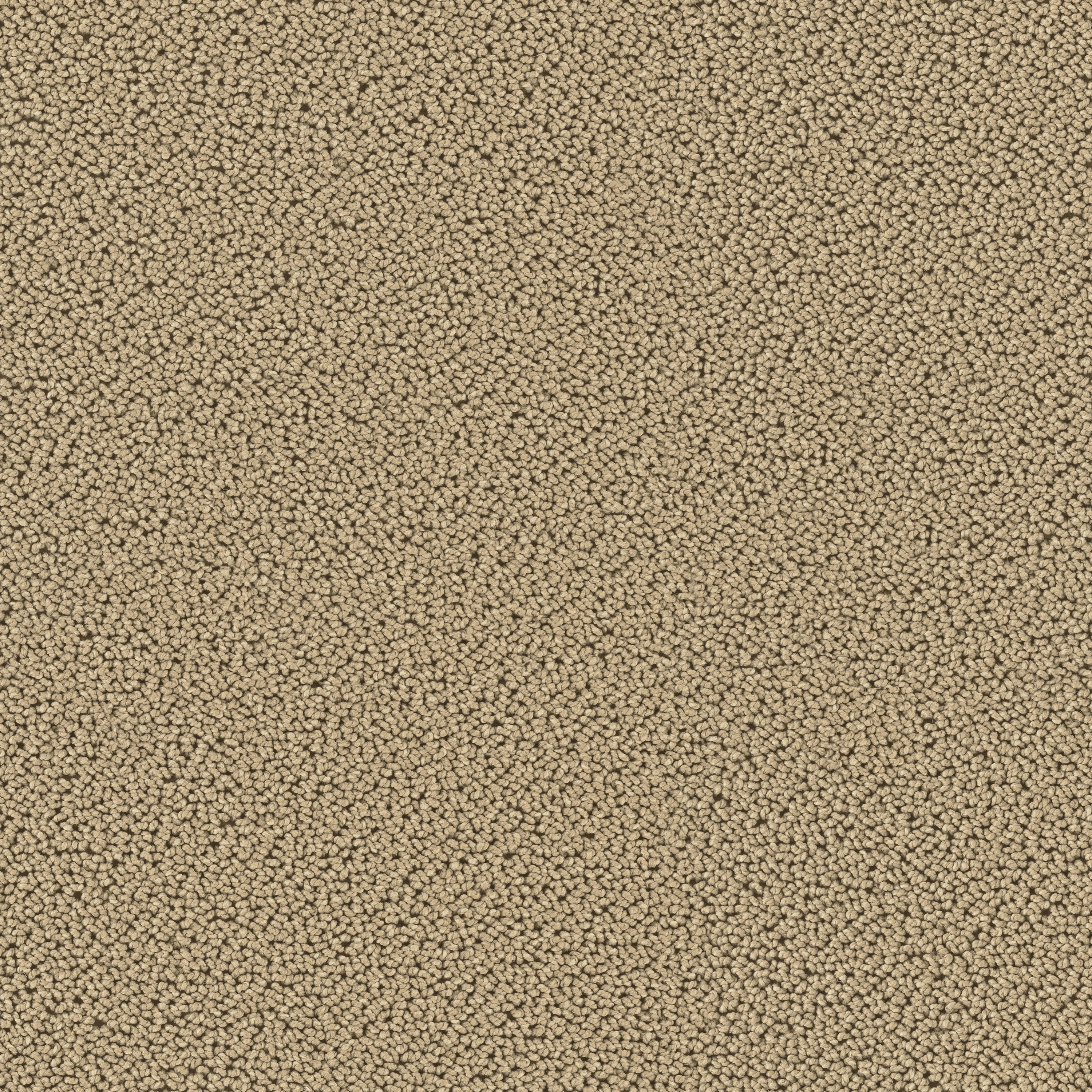 Highloop 7704 Stone
