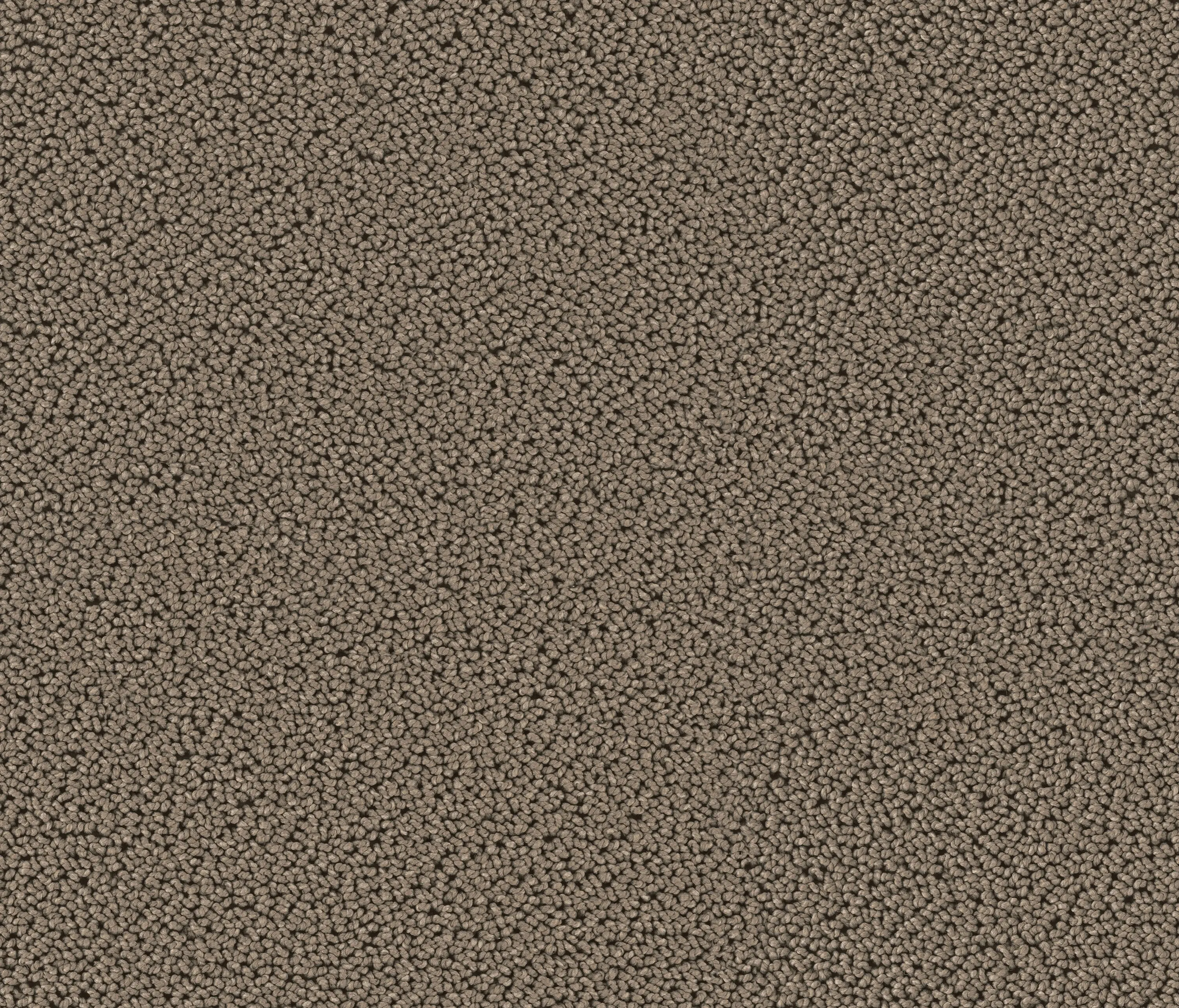 OBJECT CARPET - Highloop 7705 Cat