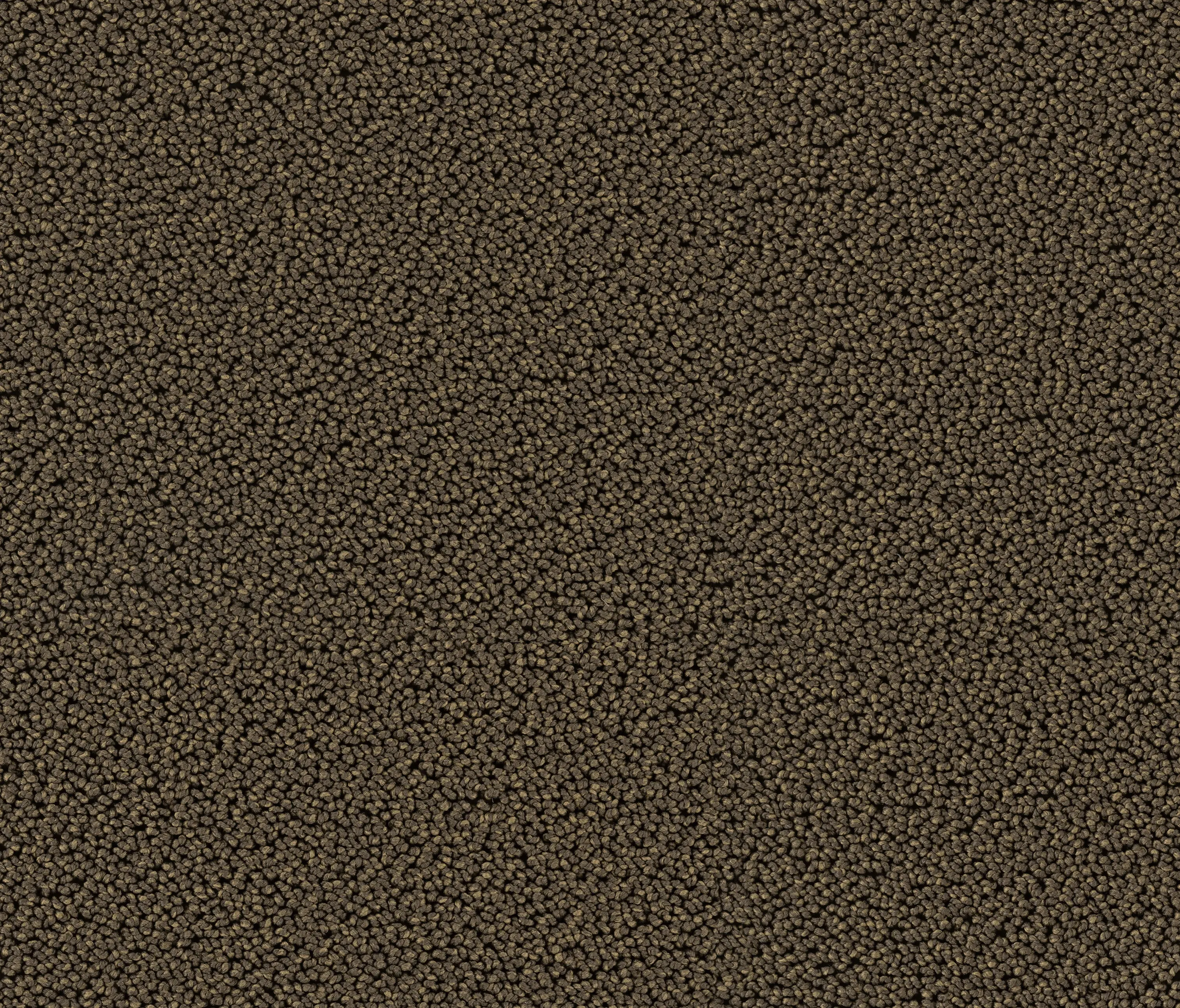 OBJECT CARPET - Highloop 7706 Lobo