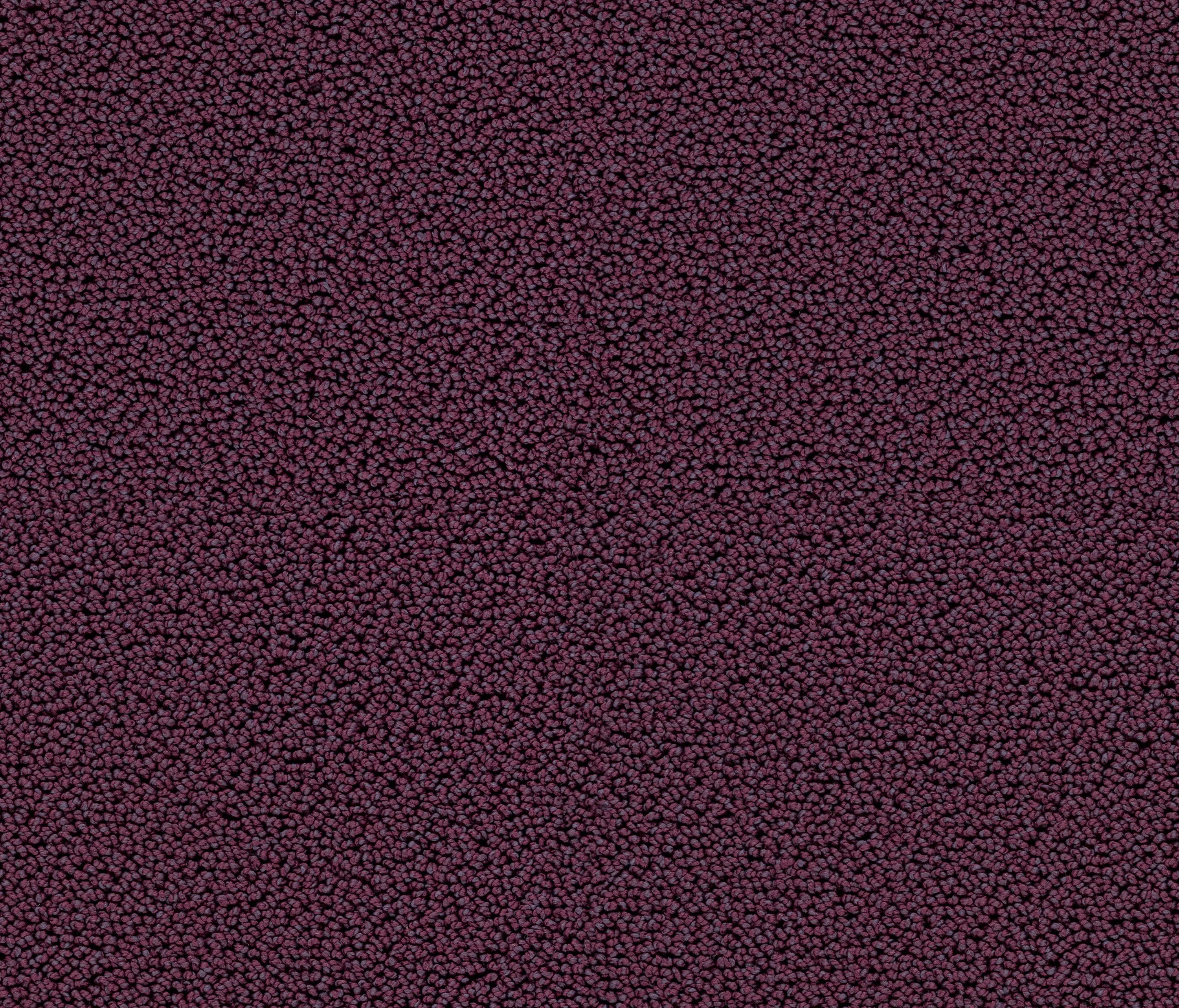 OBJECT CARPET - Highloop 7711 Blueberry