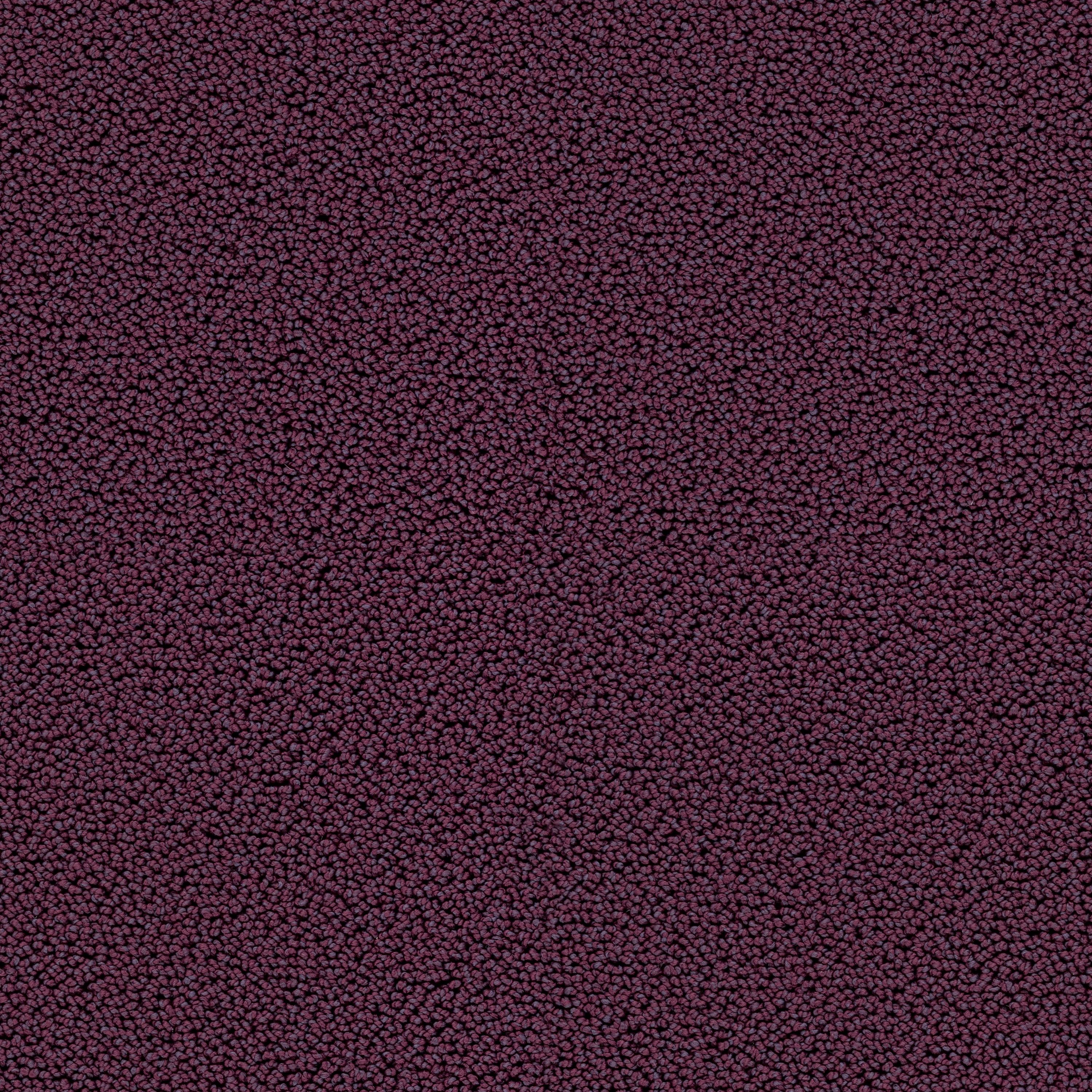 Highloop 7711 Blueberry