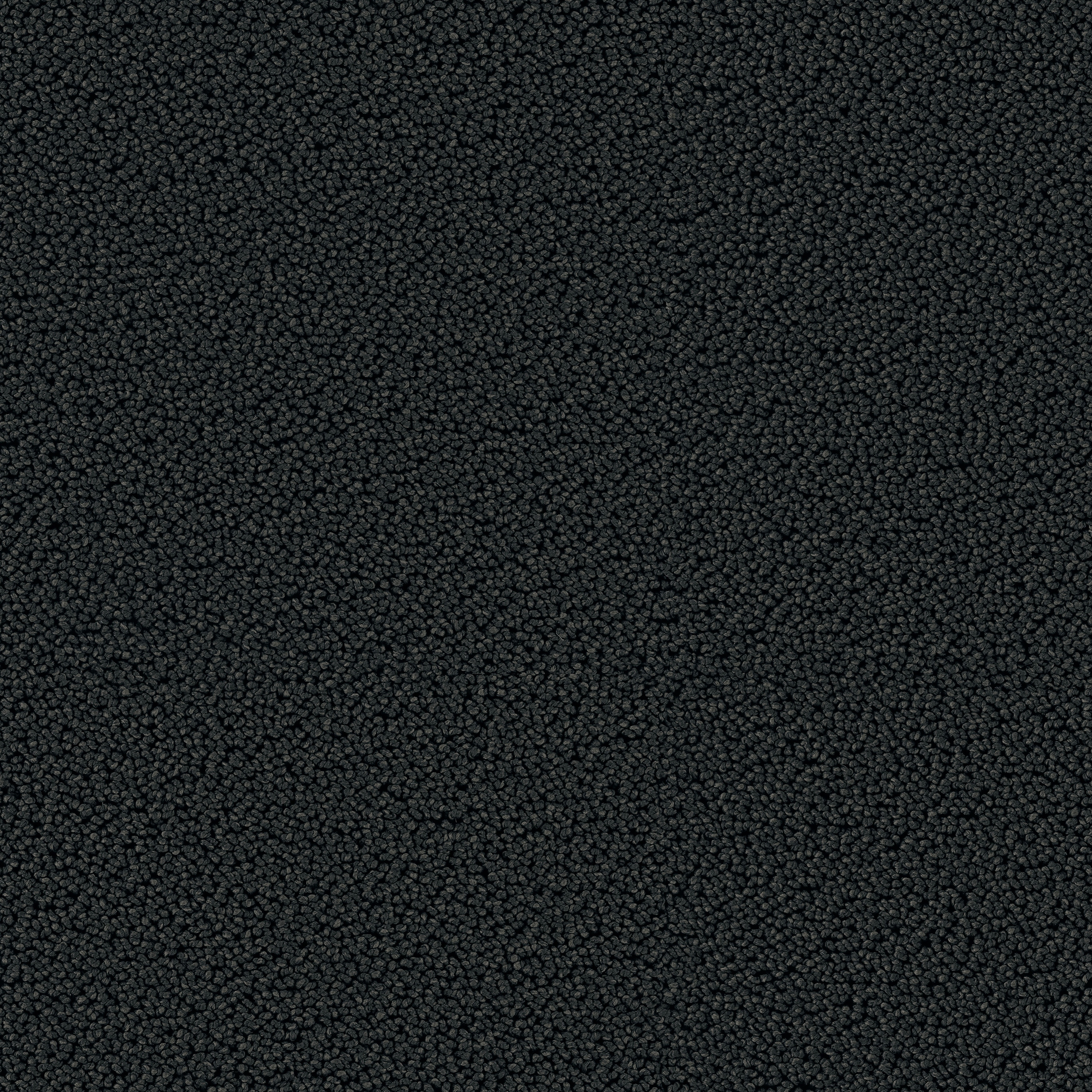 Highloop 7717 Dark Night