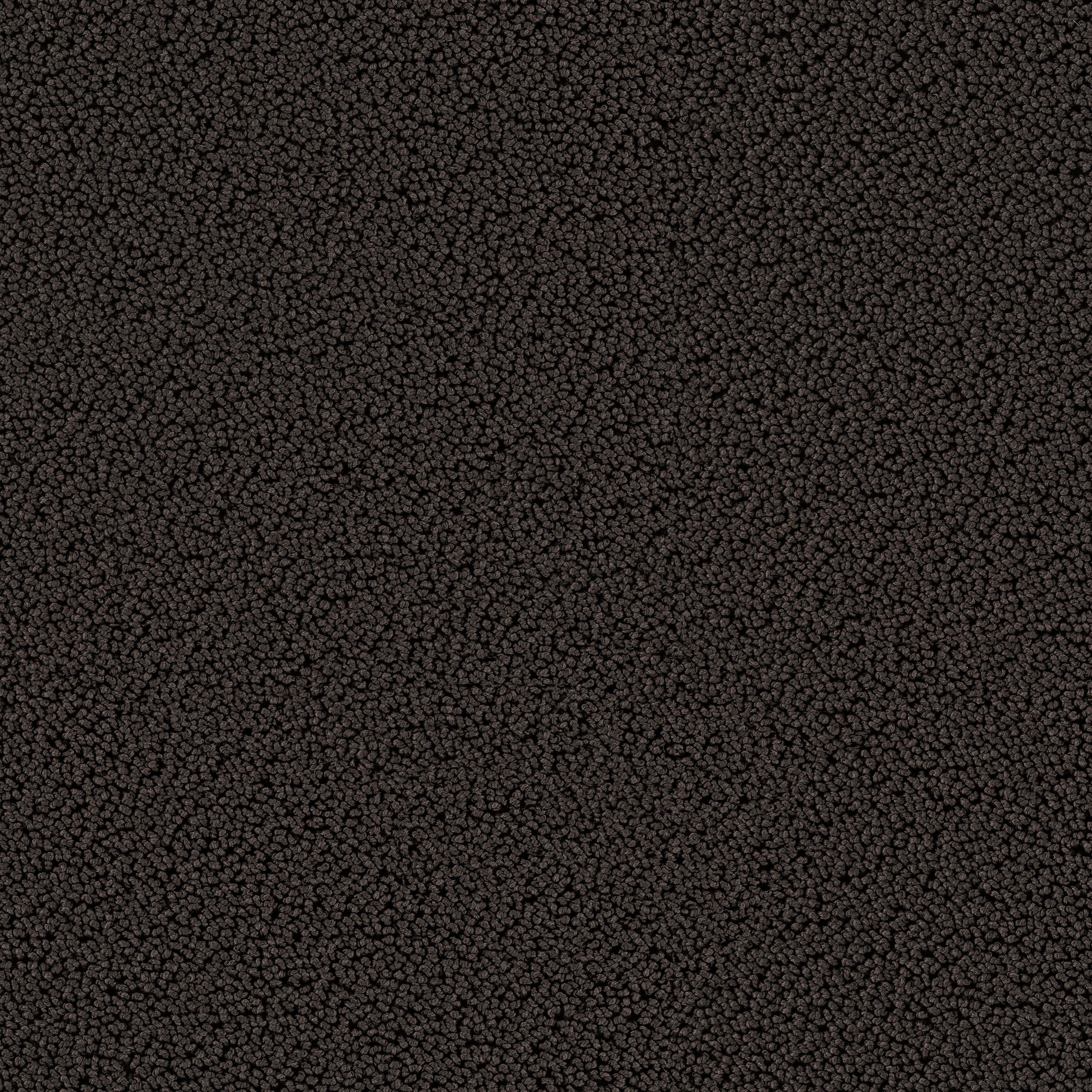Highloop 7722 Browny
