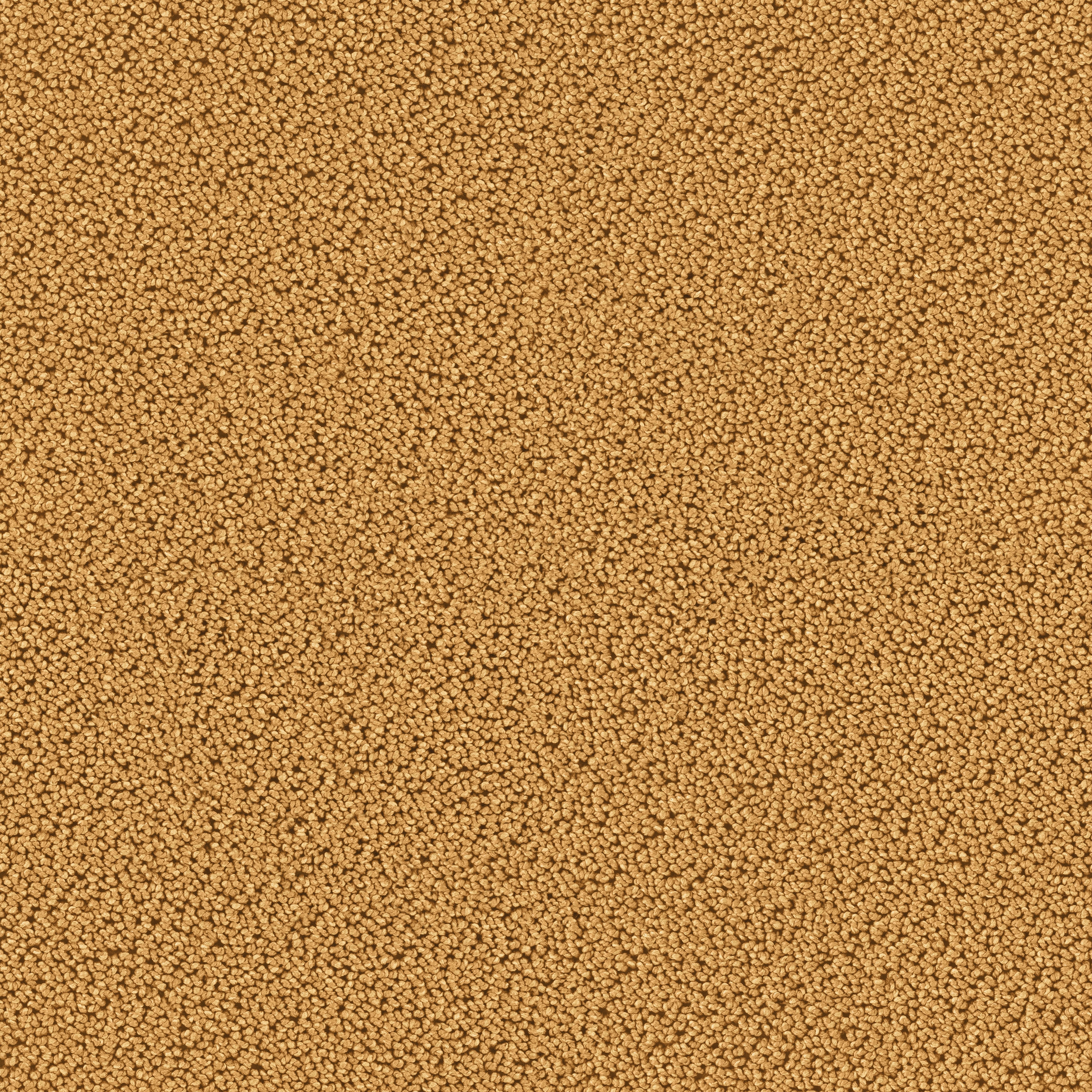 Highloop 7723 Camel