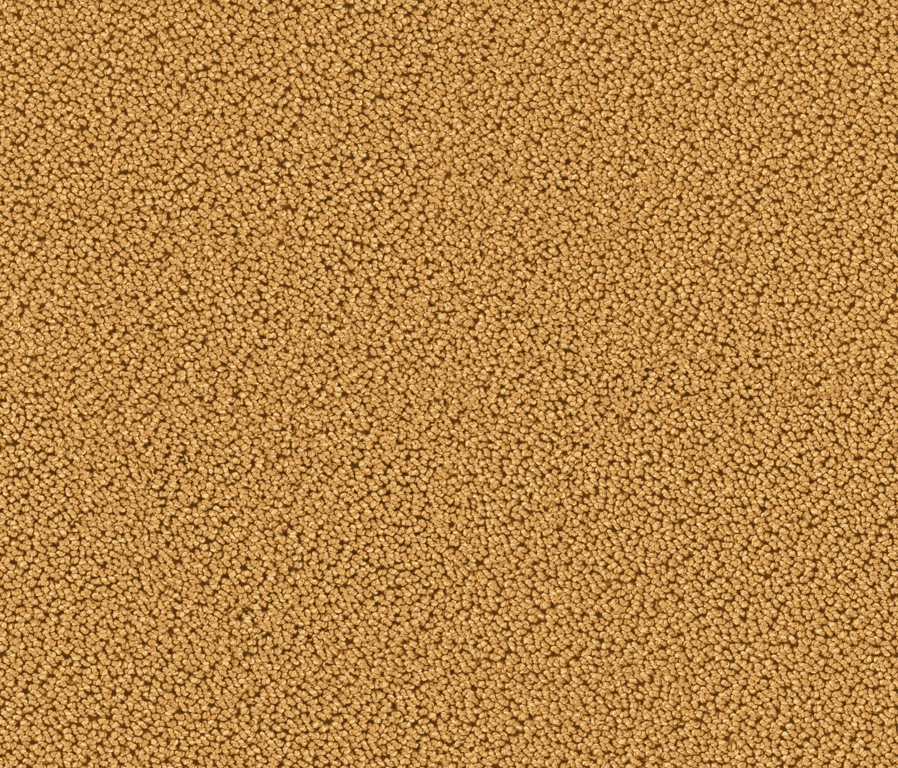 OBJECT CARPET - Highloop 7723 Camel