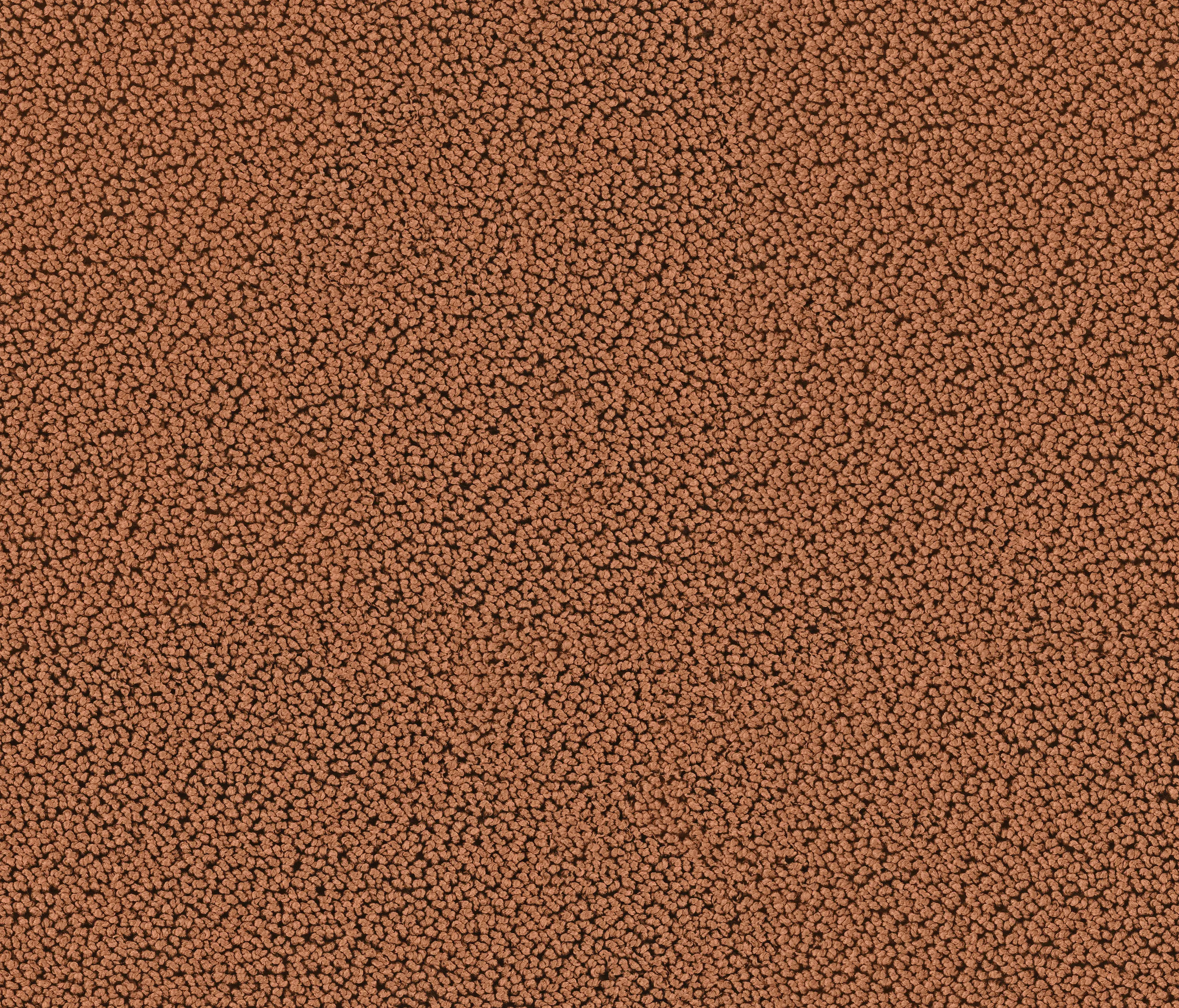 OBJECT CARPET - Highloop 7724 Rusty Brown