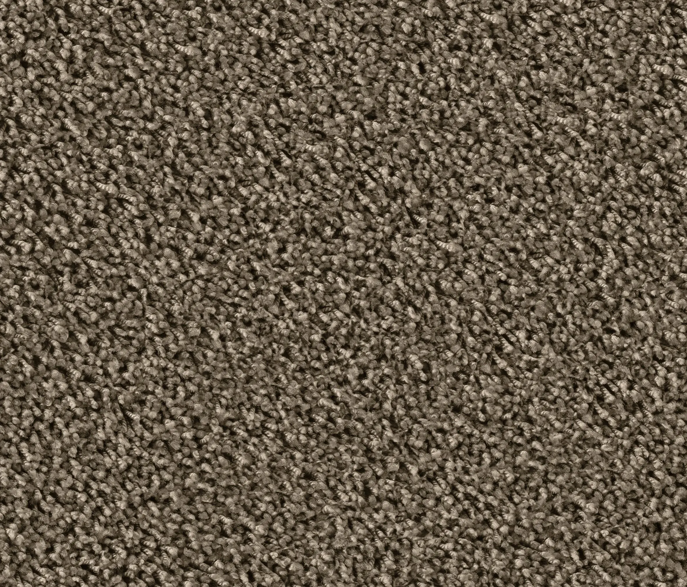 OBJECT CARPET - Maxime 6859 Camino
