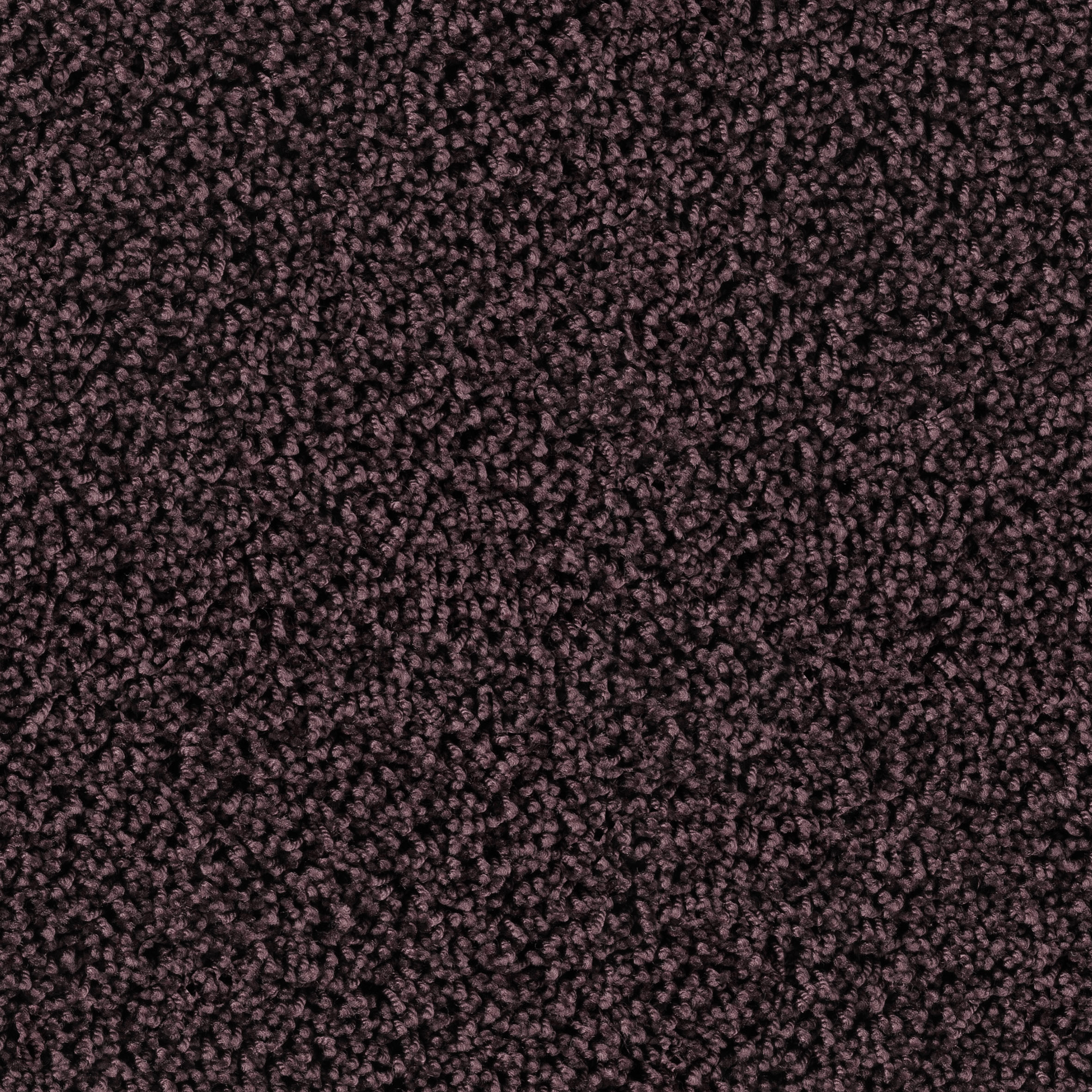 Maxime 6866 Wild Berry