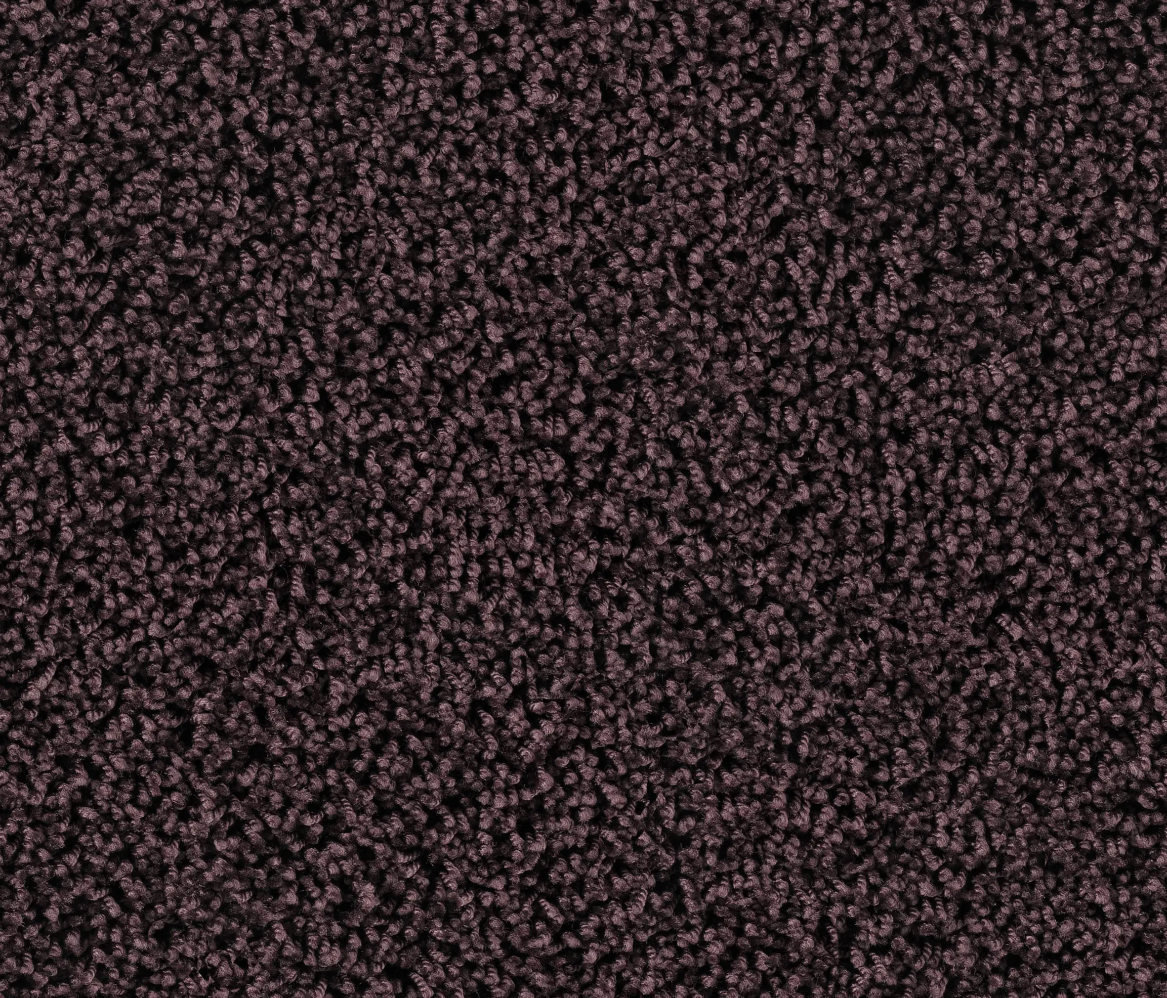 OBJECT CARPET - Maxime 6866 Wild Berry