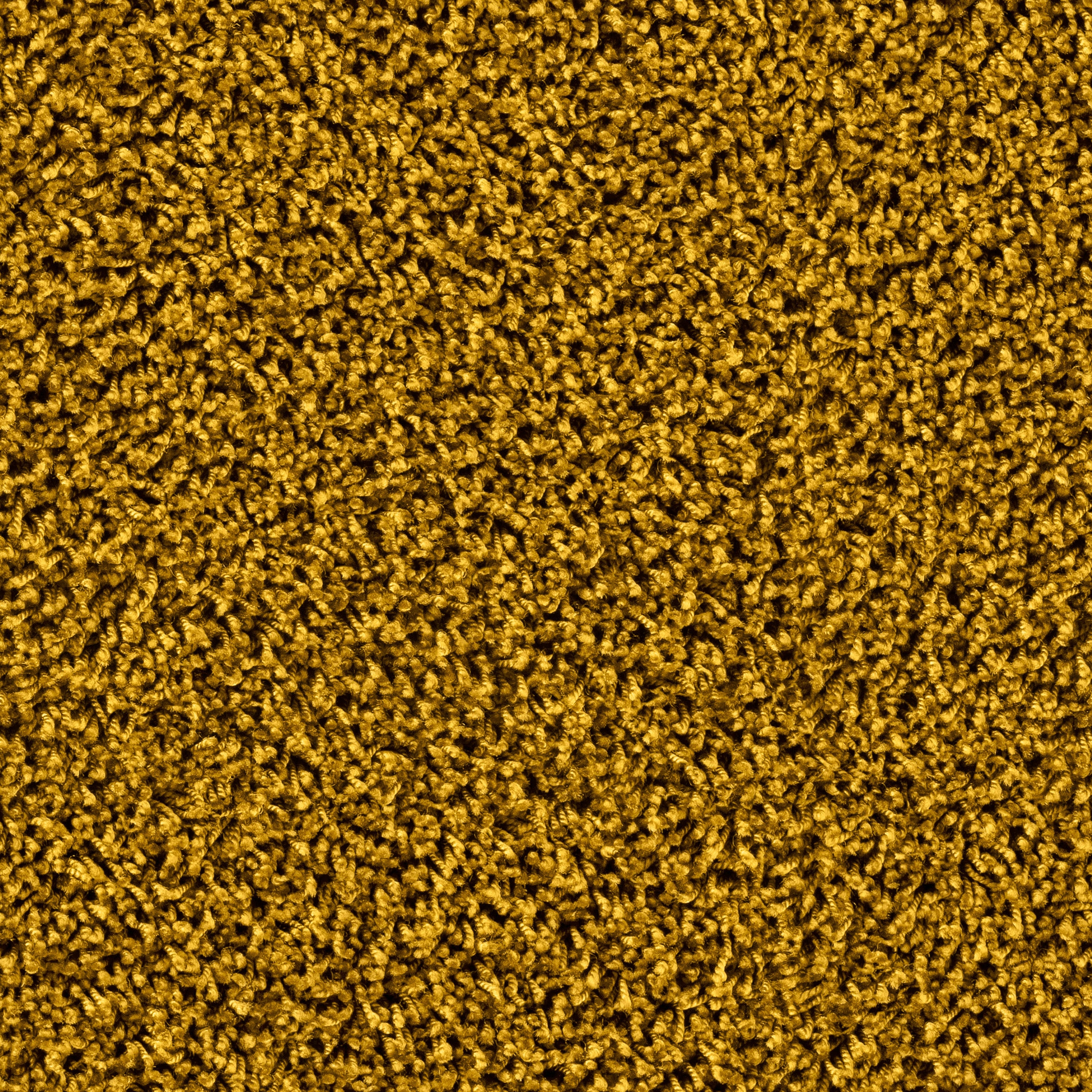 Maxime 6868 Golden Tulip