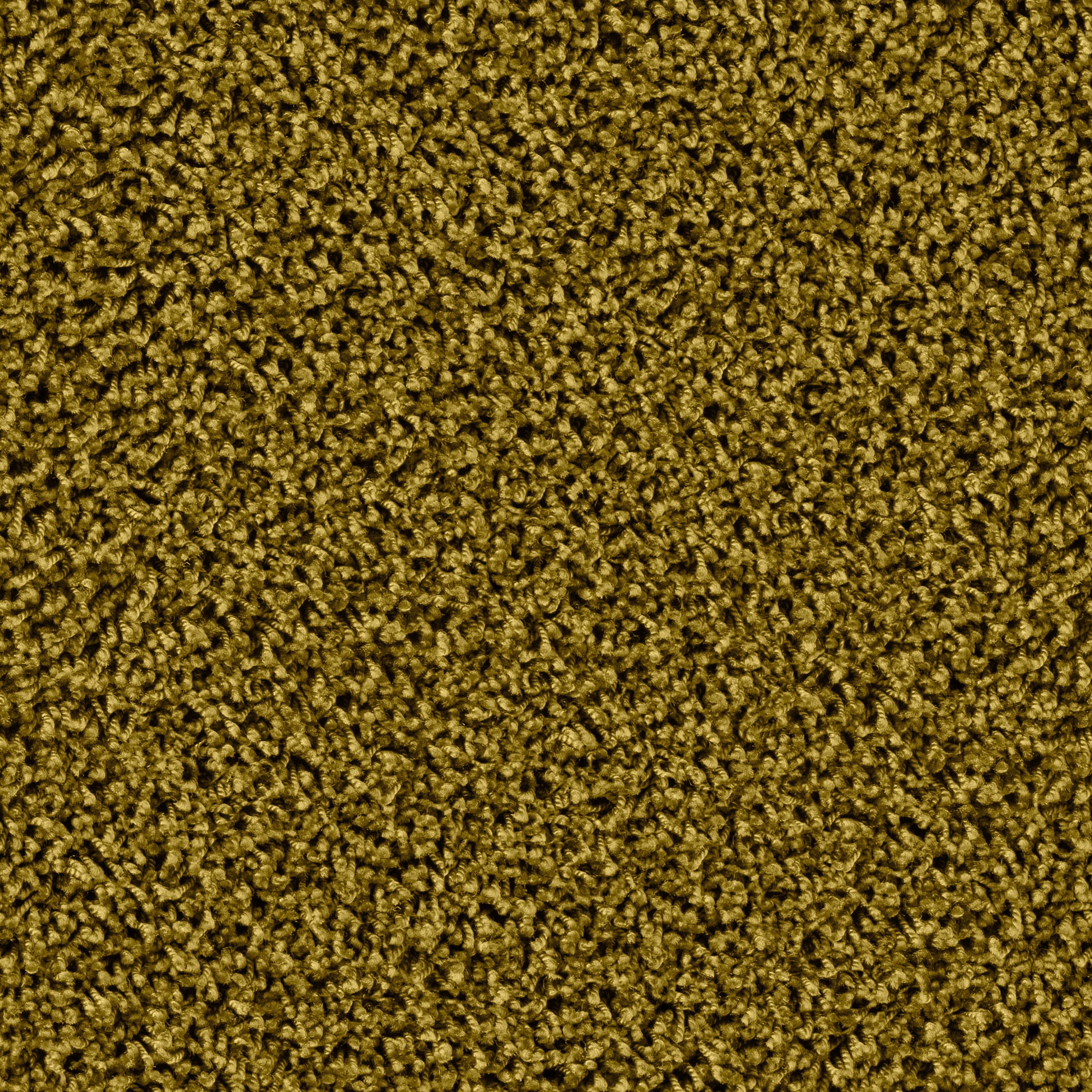 Maxime 6869 Shining Feeld