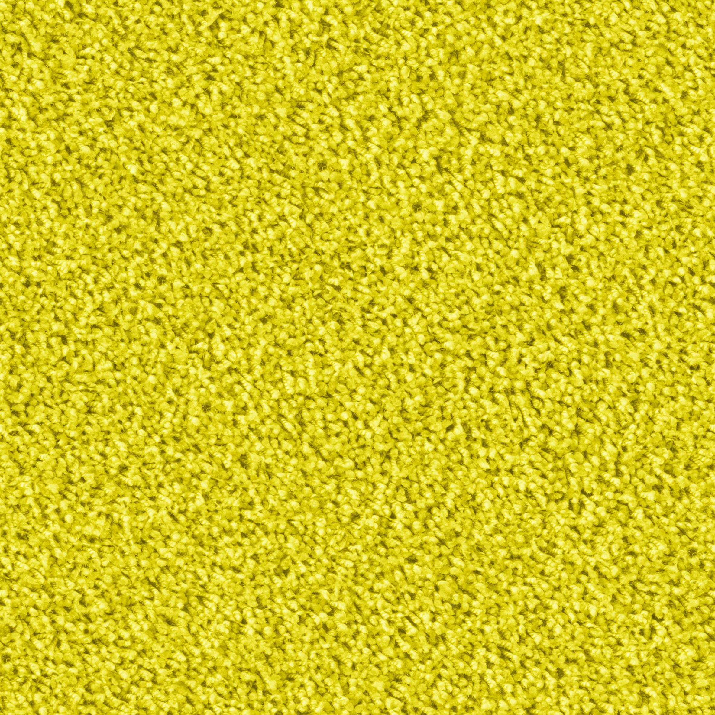 Maxime 6873 Citrus