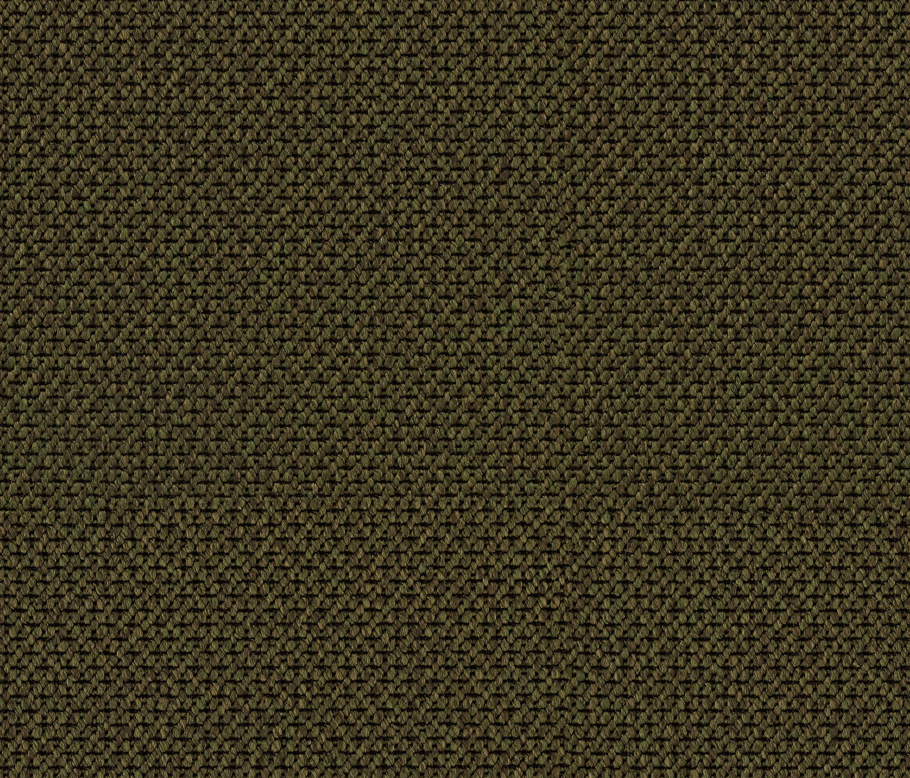 OBJECT CARPET - Net Web 1085 Savage Wood