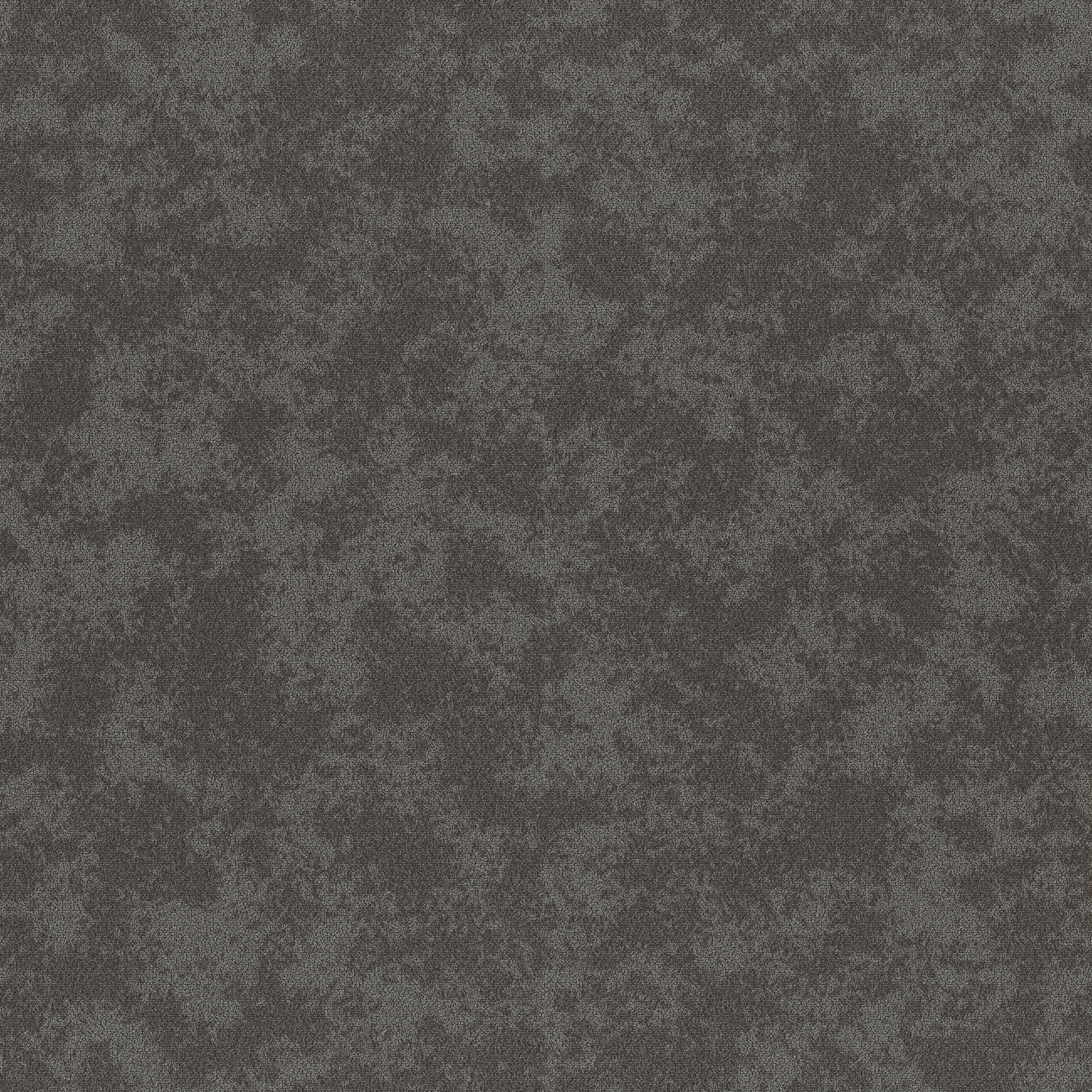 Newcon 1856 Midnight