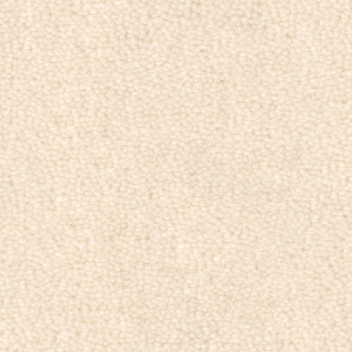 Pure Wool 2601 Eggshell