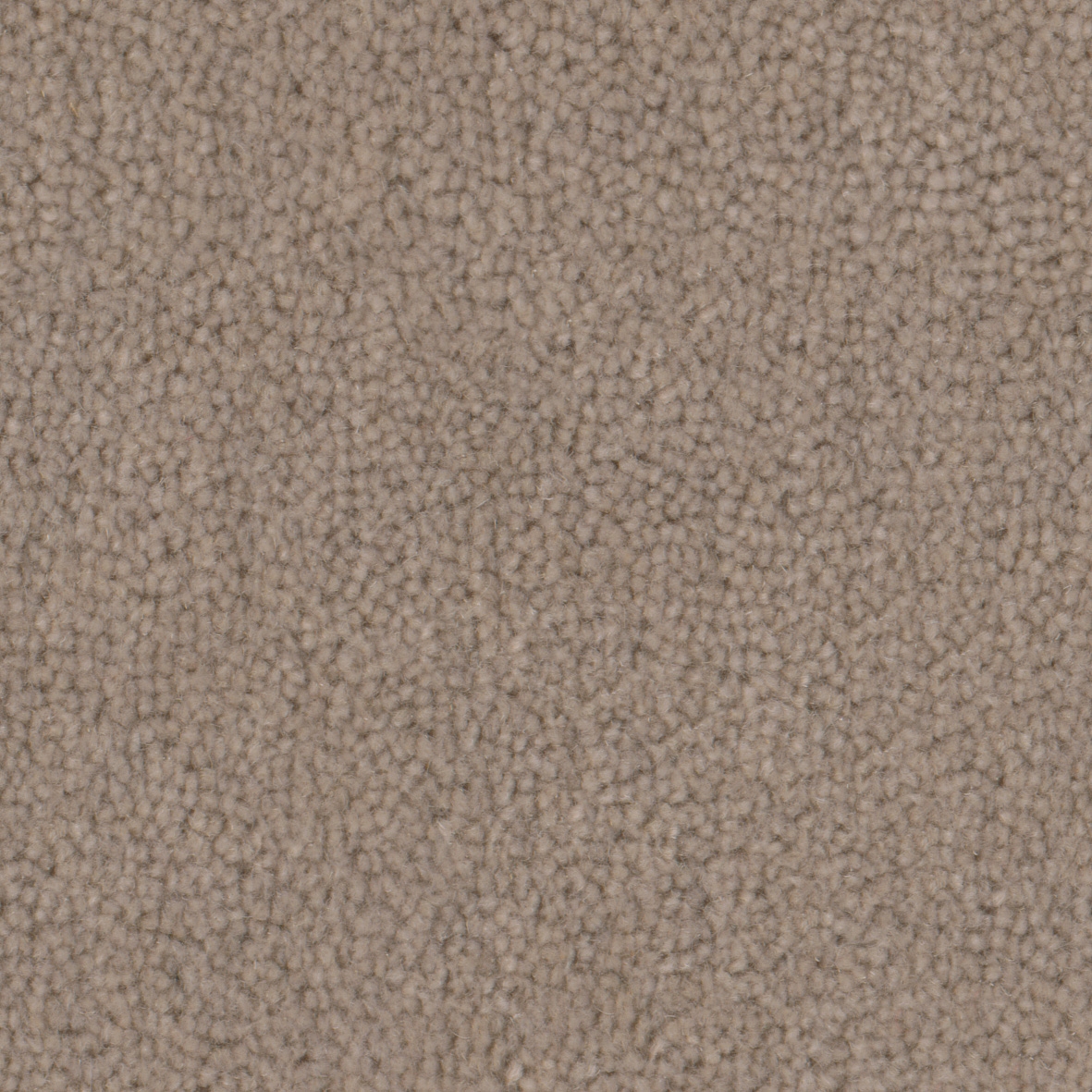 Pure Wool 2602 Fluff