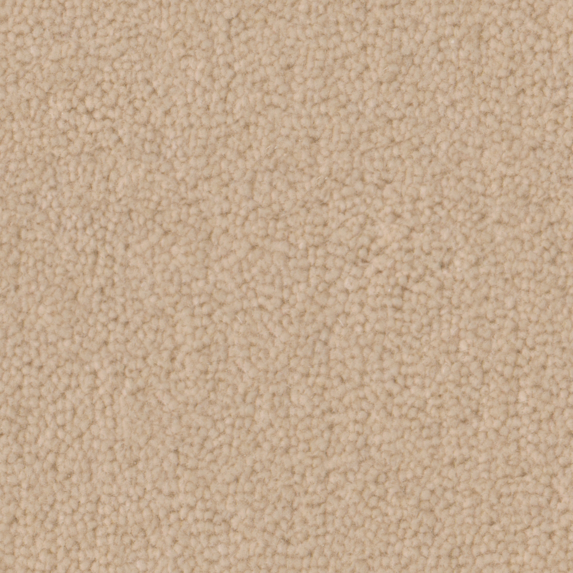 Pure Wool 2603 Windflower