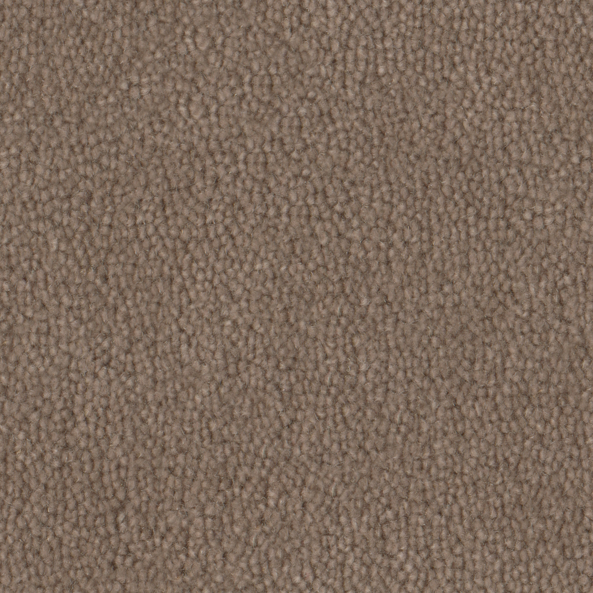 Pure Wool 2604 Acorn