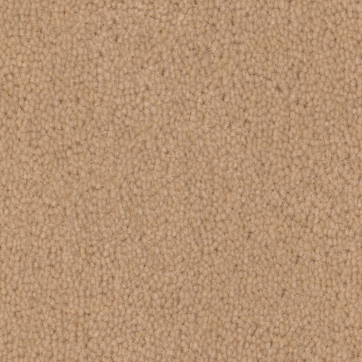 Pure Wool 2605 Sand