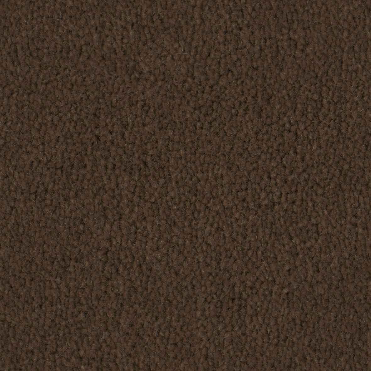 Pure Wool 2606 Terra