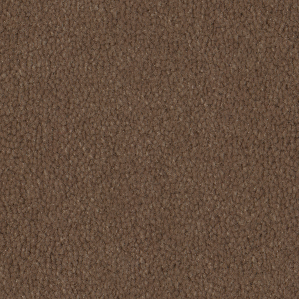 Pure Wool 2607 Wood