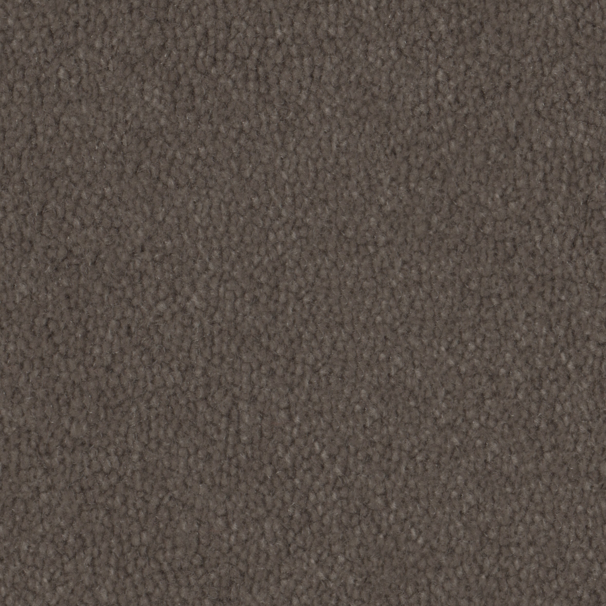 Pure Wool 2608 Rabbit