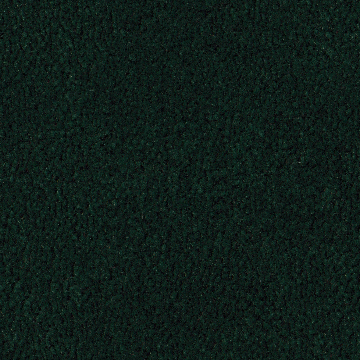 Pure Wool 2610 Forest