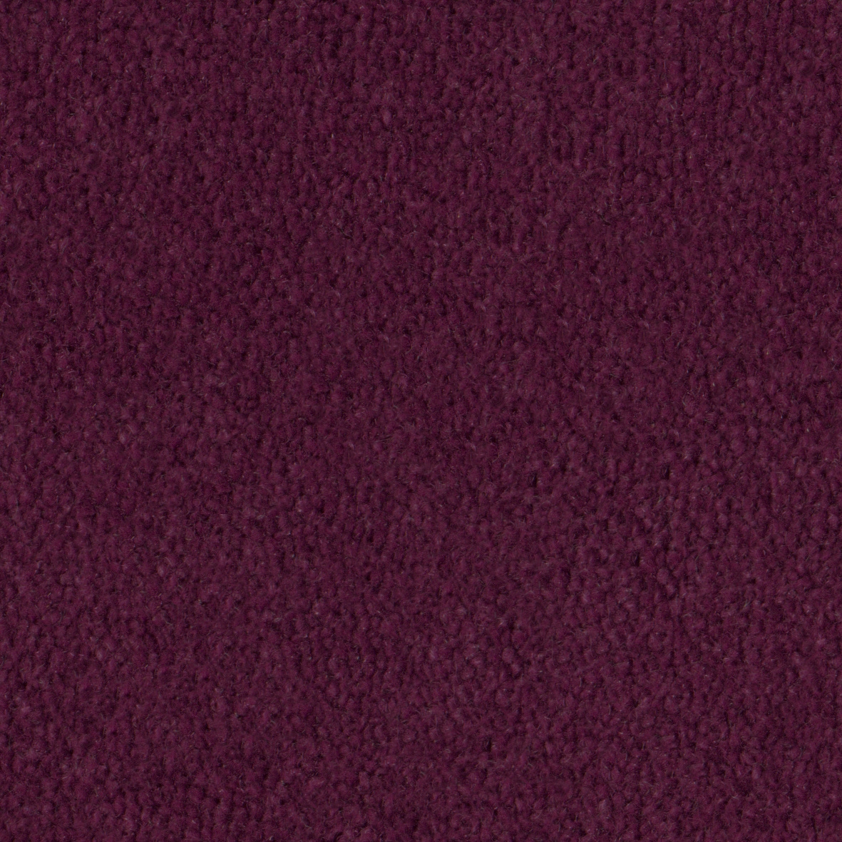 Display product Pure Wool 2614 Bloom from manufacturer OBJECT CARPET