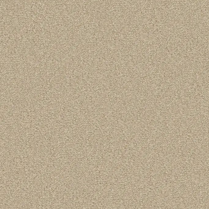 OBJECT CARPET - Moody 2002 Creme