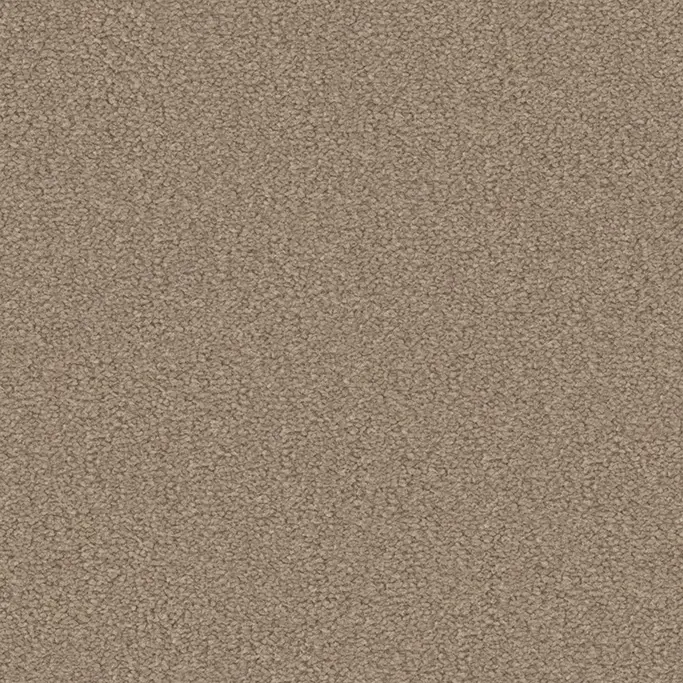 OBJECT CARPET - Moody 2003 Greige