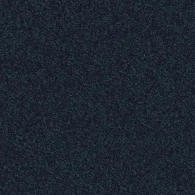 OBJECT CARPET - Moody 2008 Dark Blue