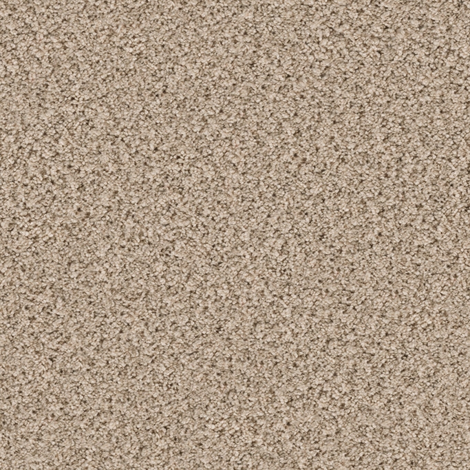 Eddy 2151 Sandy