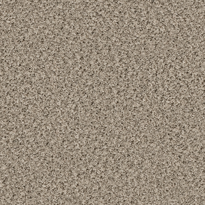 Eddy 2153 Quartz