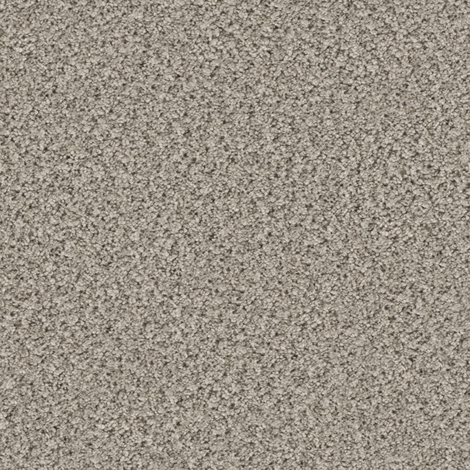 Eddy 2154 Pebble