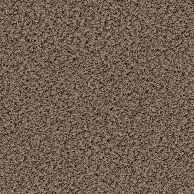 Eddy 2155 Taupe