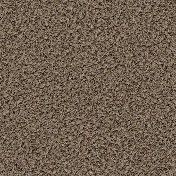 OBJECT CARPET - Eddy 2155 Taupe