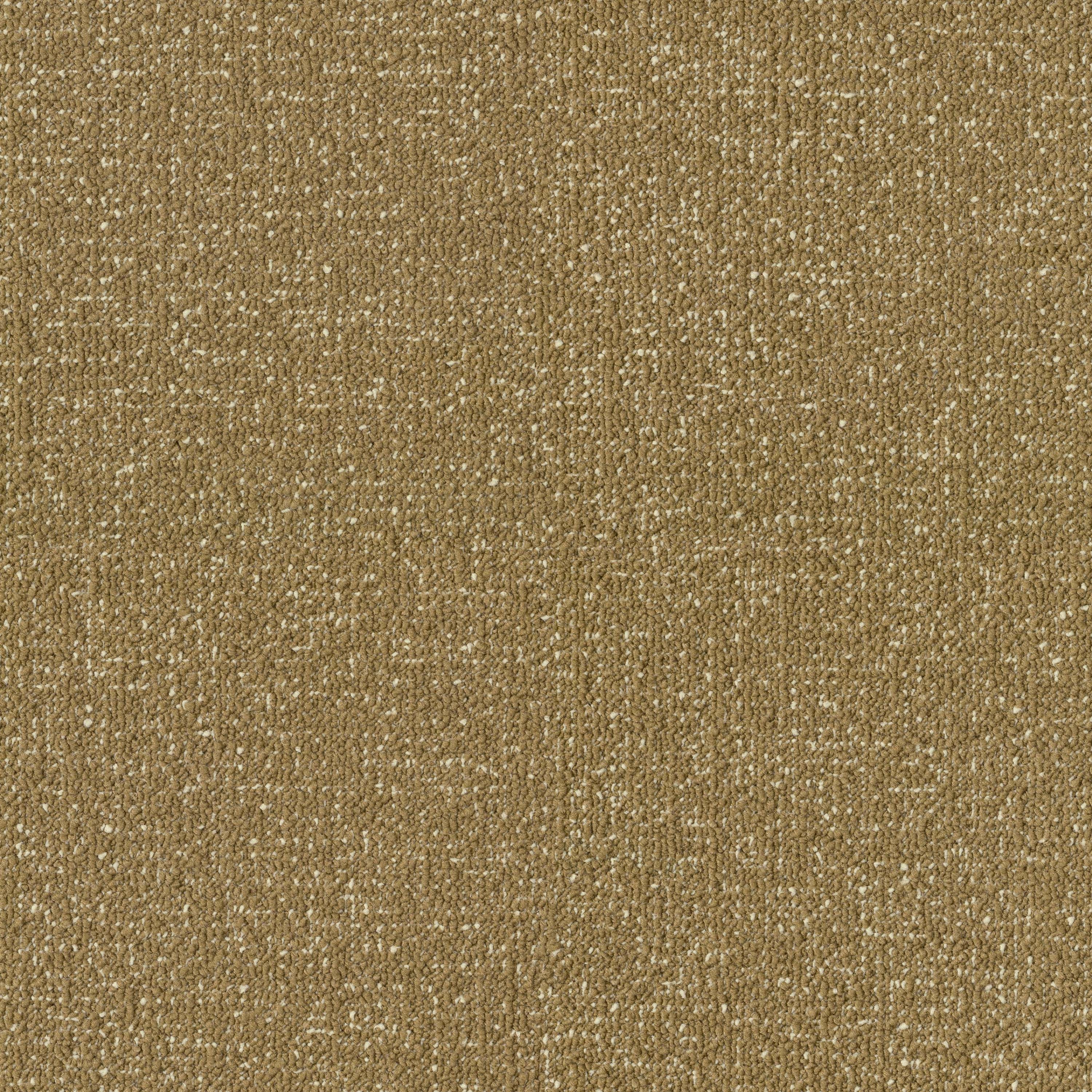 Mostrar el producto Flux Duoo 800 del fabricante OBJECT CARPET
