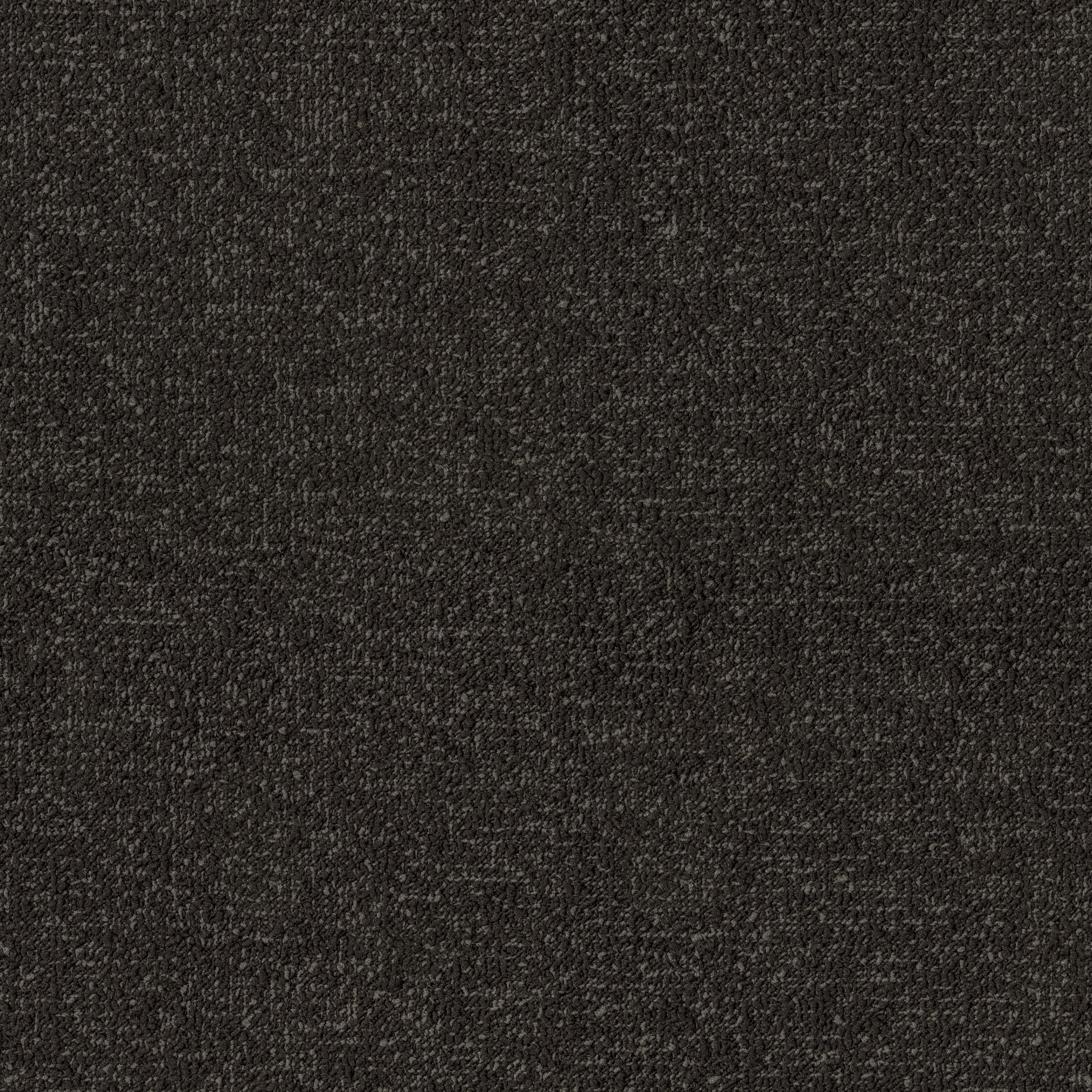 Afficher le produit Paradox Duoo 800 du fabricant OBJECT CARPET