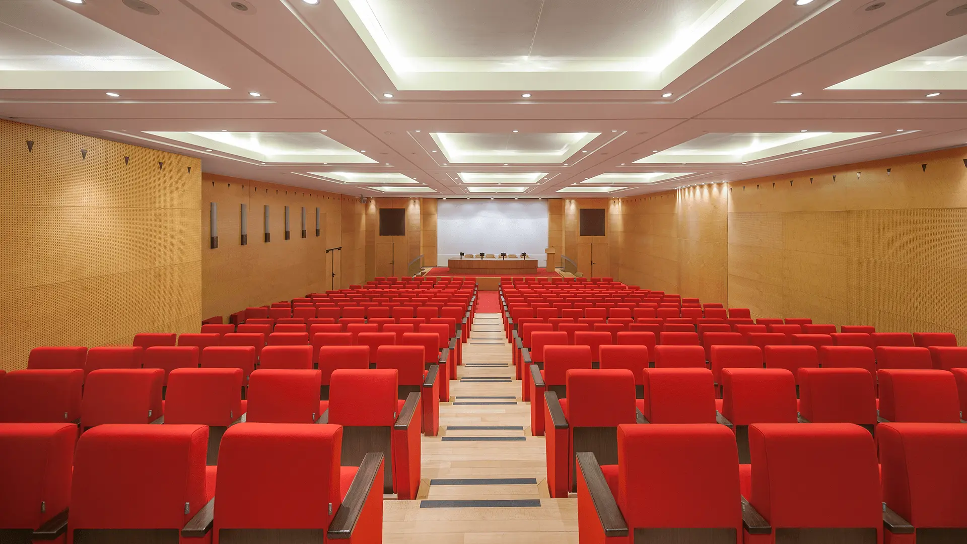 Lamm - C900 with Low Backrest